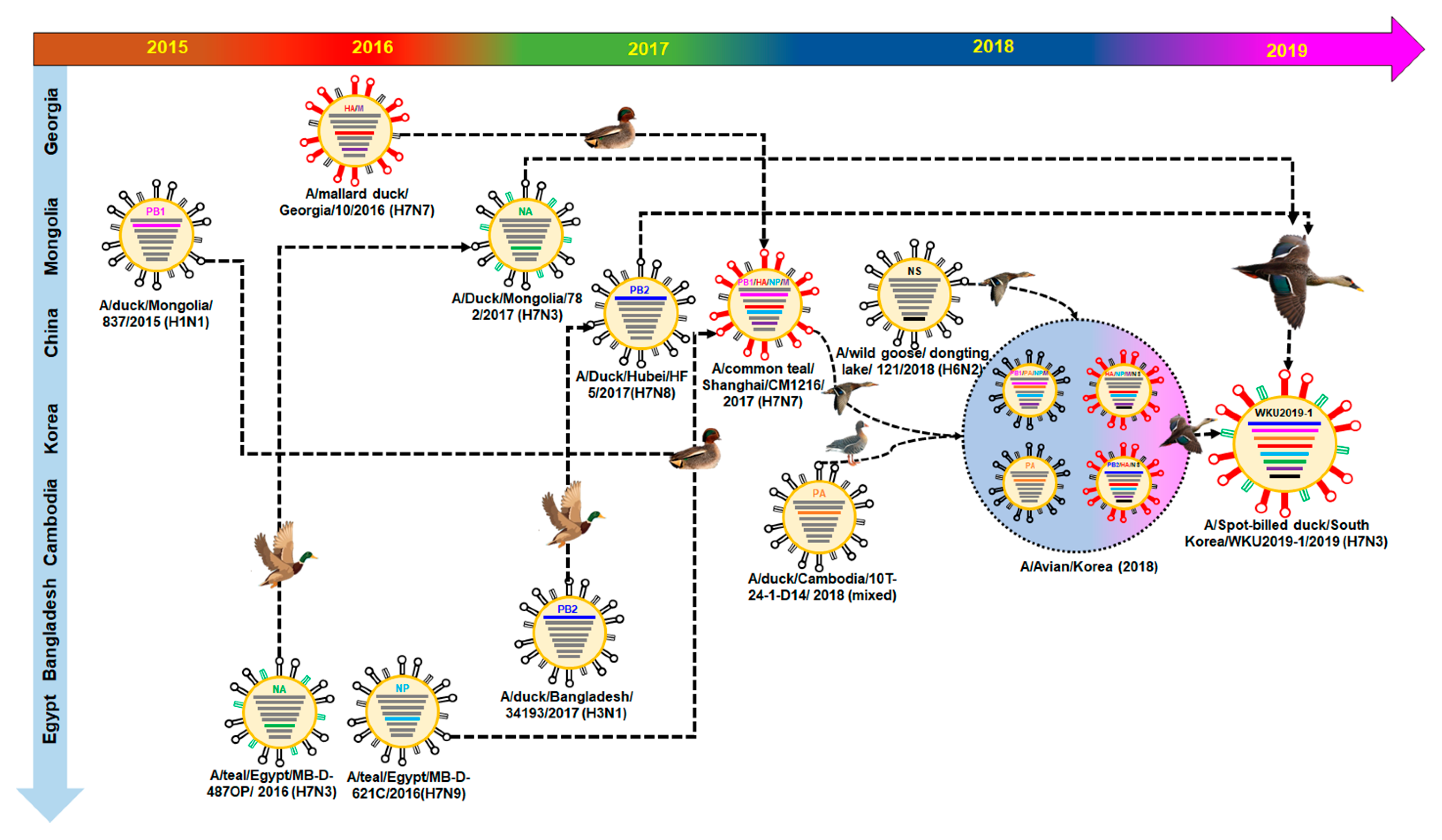 Viruses 13 00856 g003
