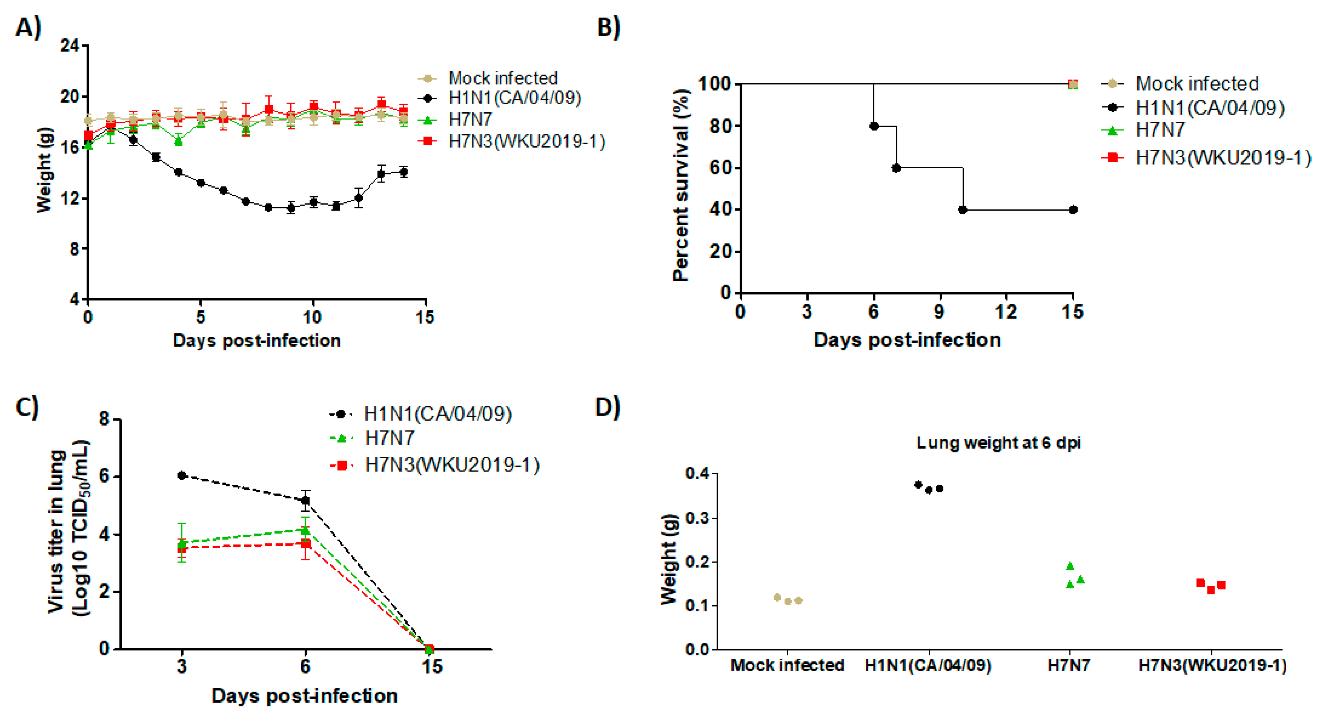 Viruses 13 00856 g005
