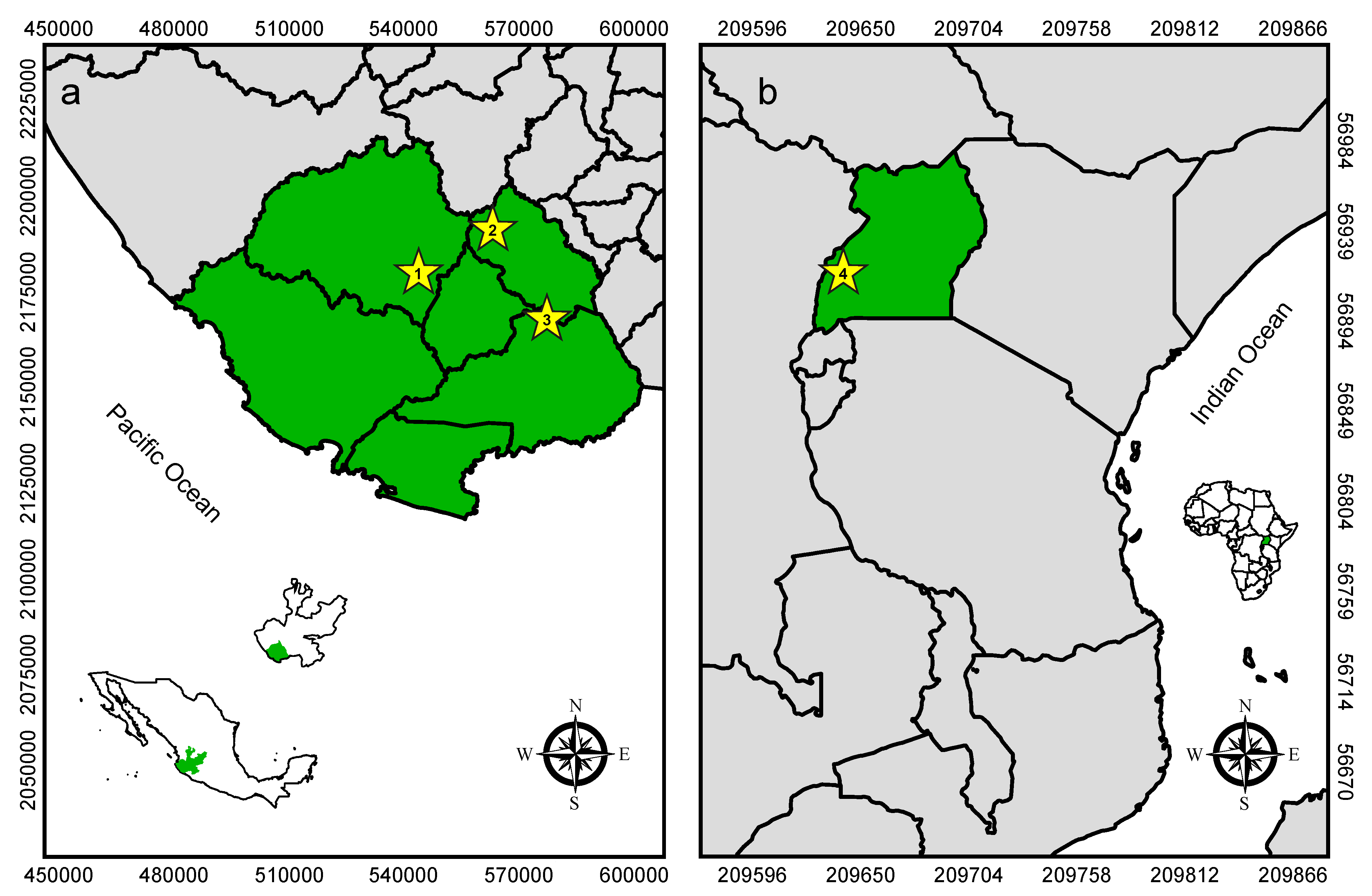 Viruses 13 00860 g001