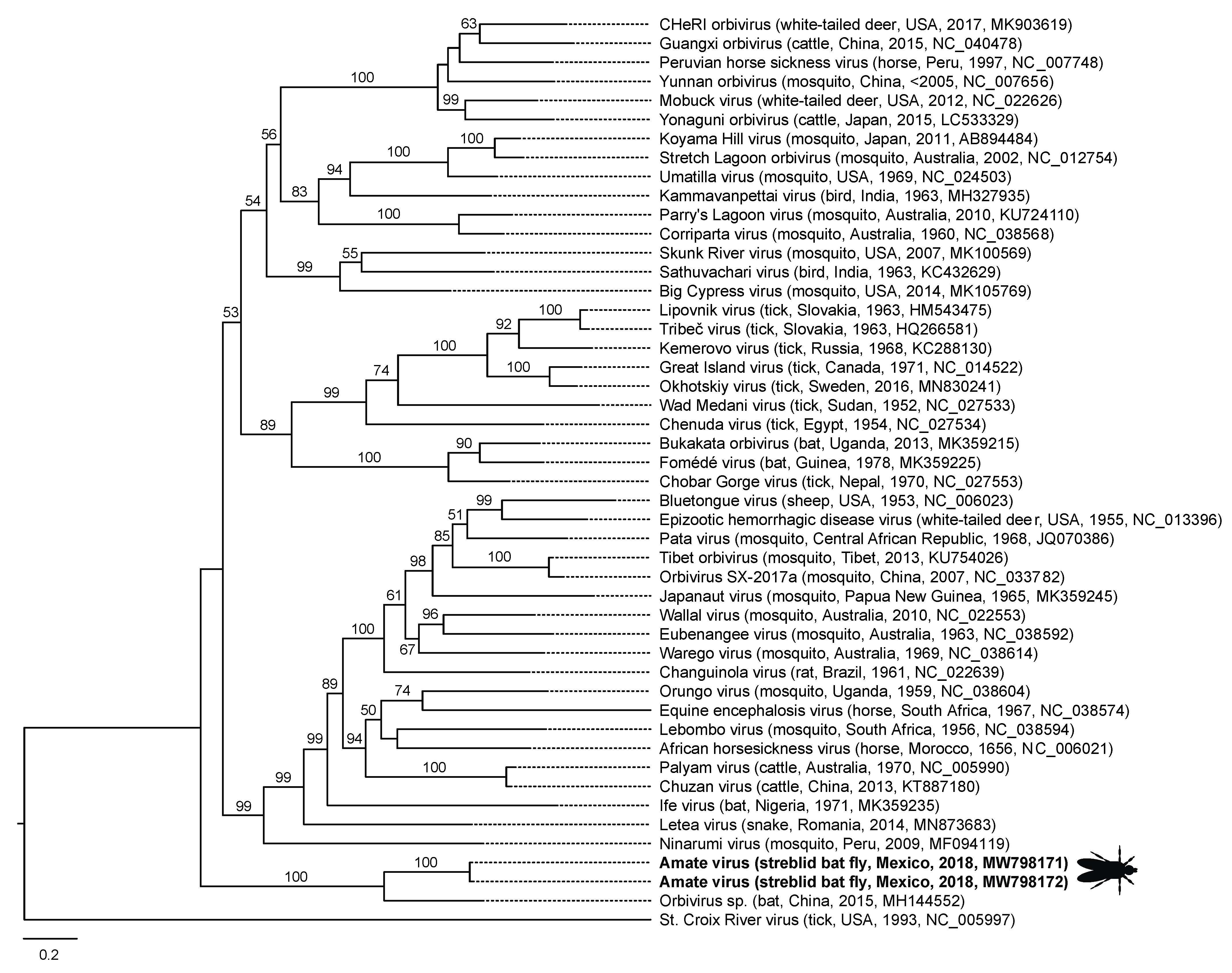 Viruses 13 00860 g004