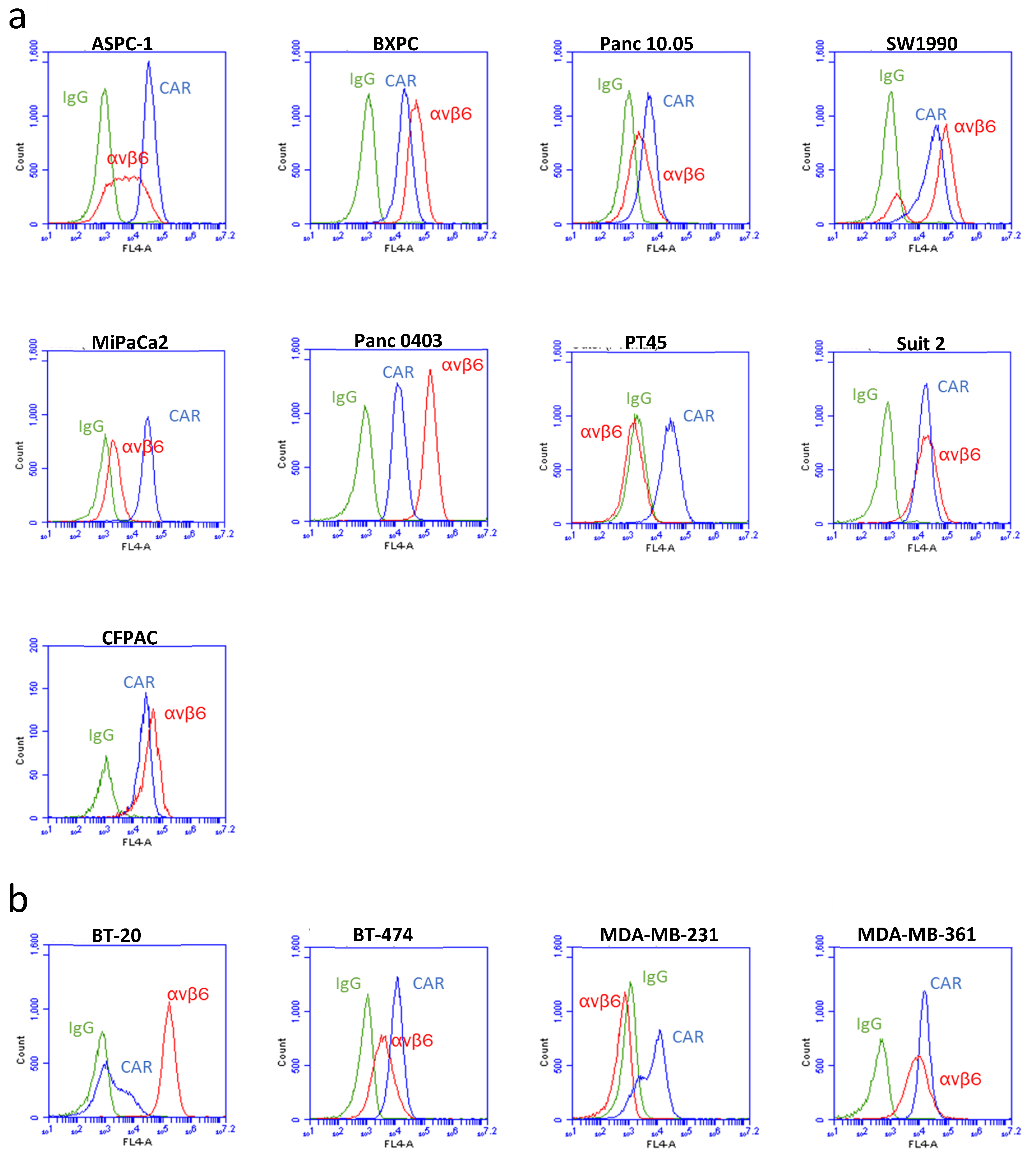Viruses 13 00864 g001