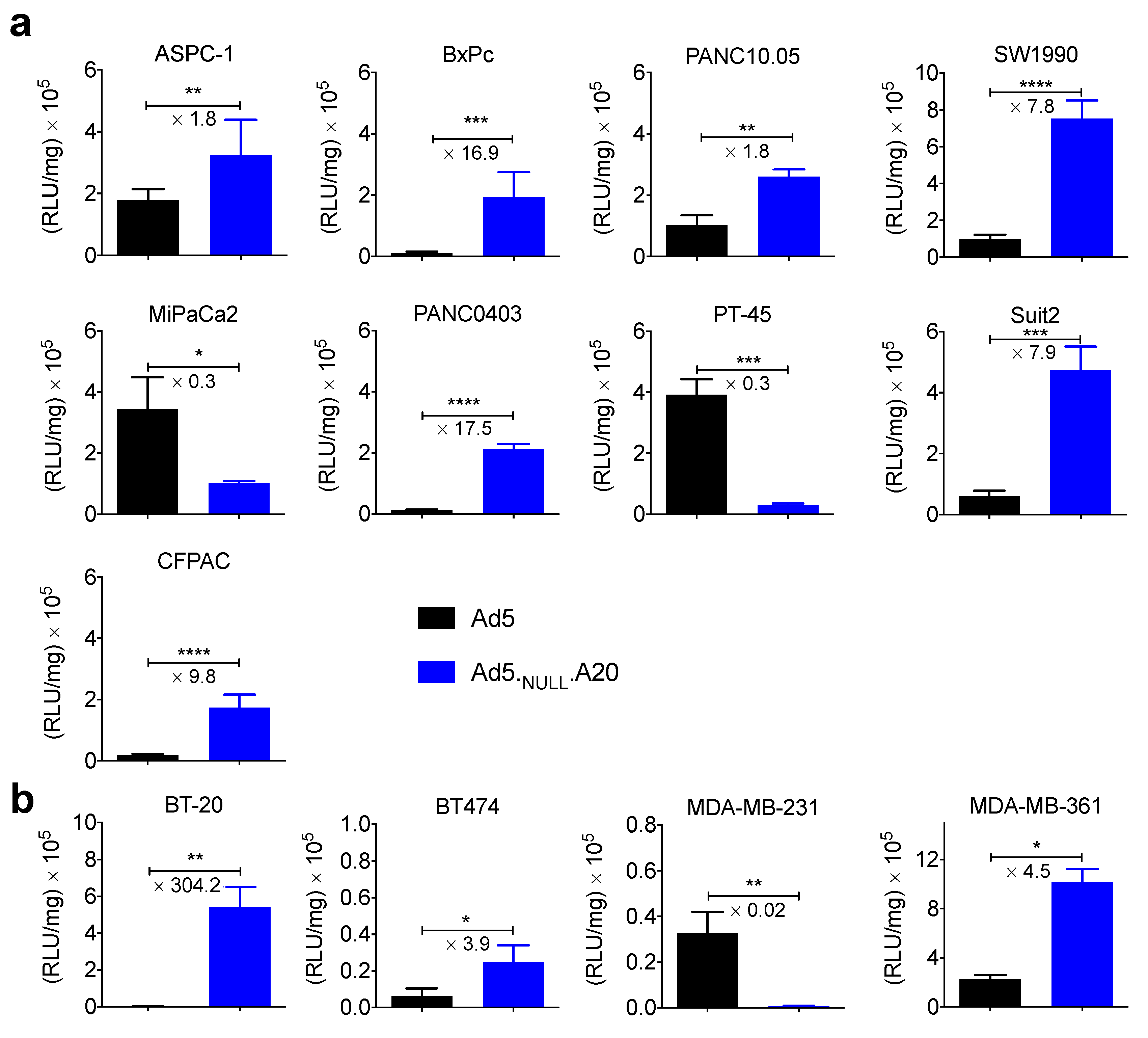 Viruses 13 00864 g002