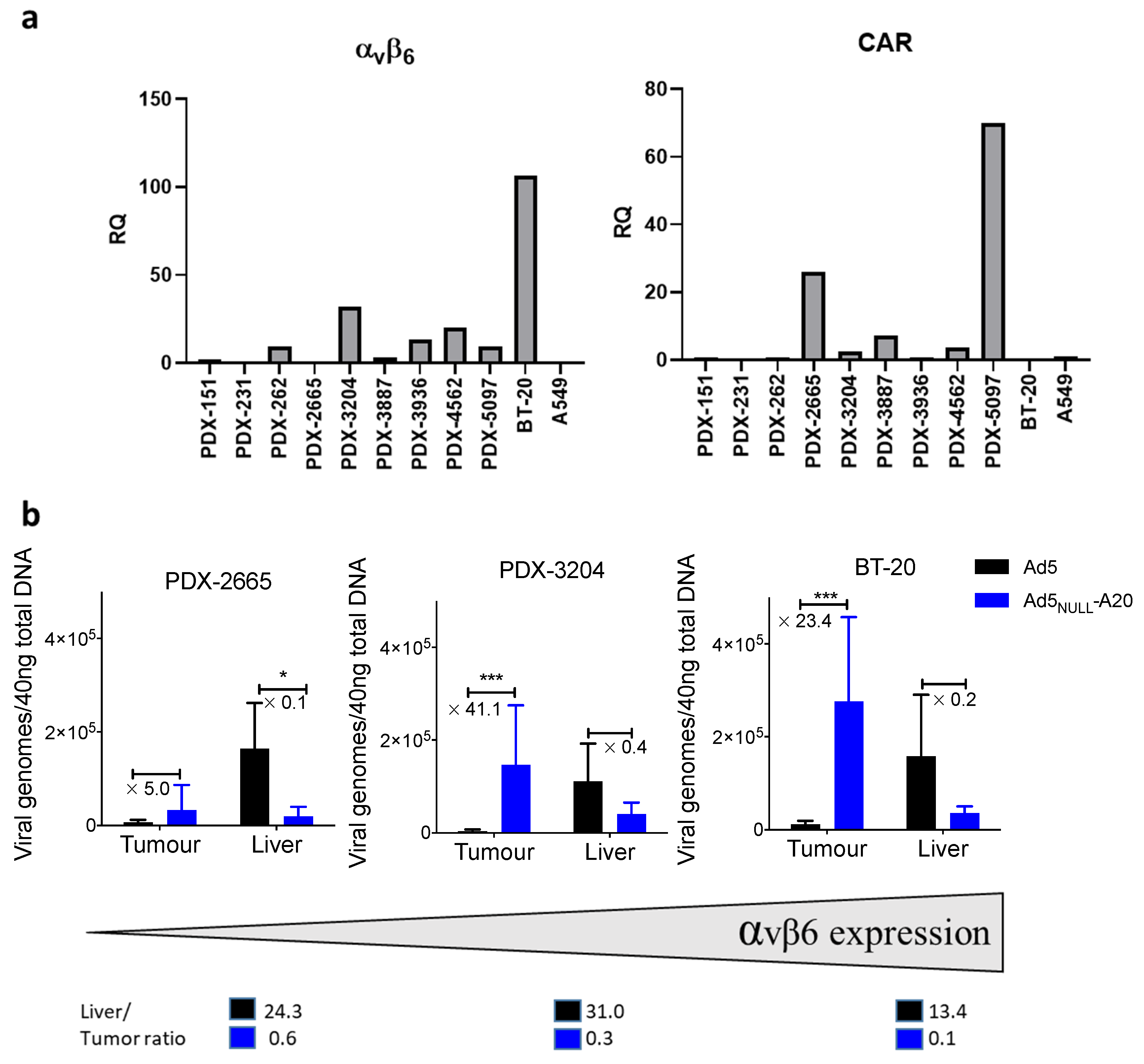 Viruses 13 00864 g004