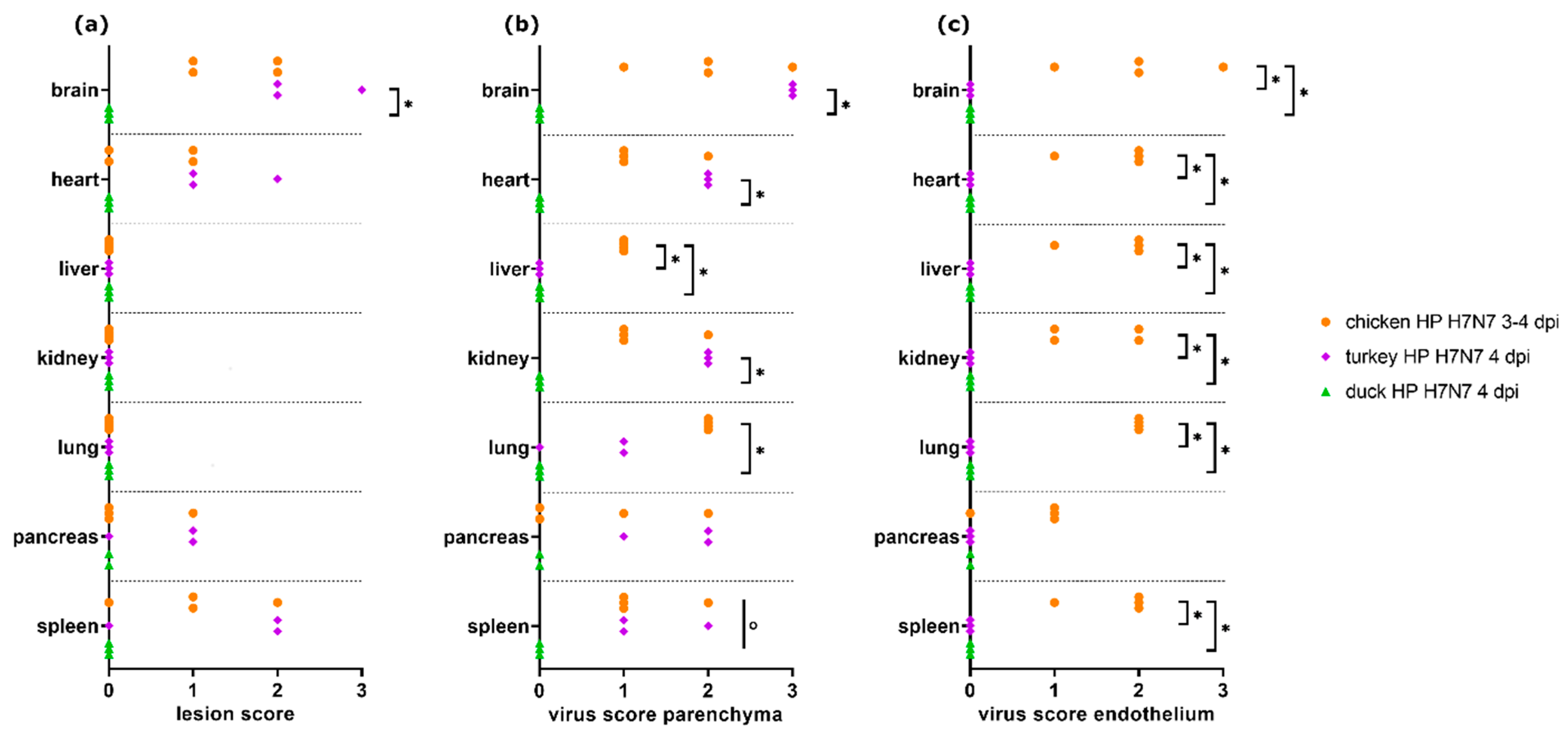 Viruses 13 00868 g003