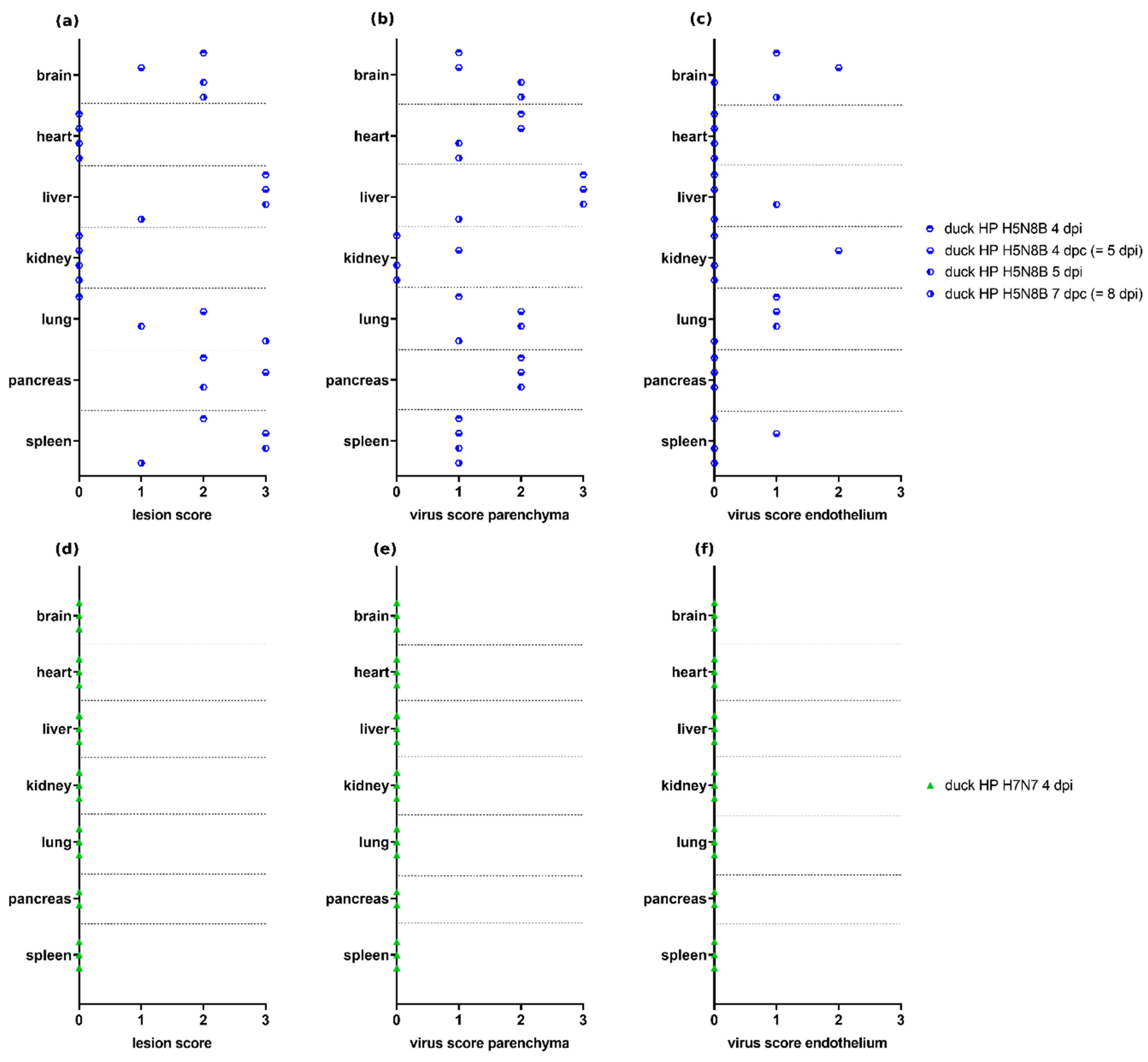 Viruses 13 00868 g005