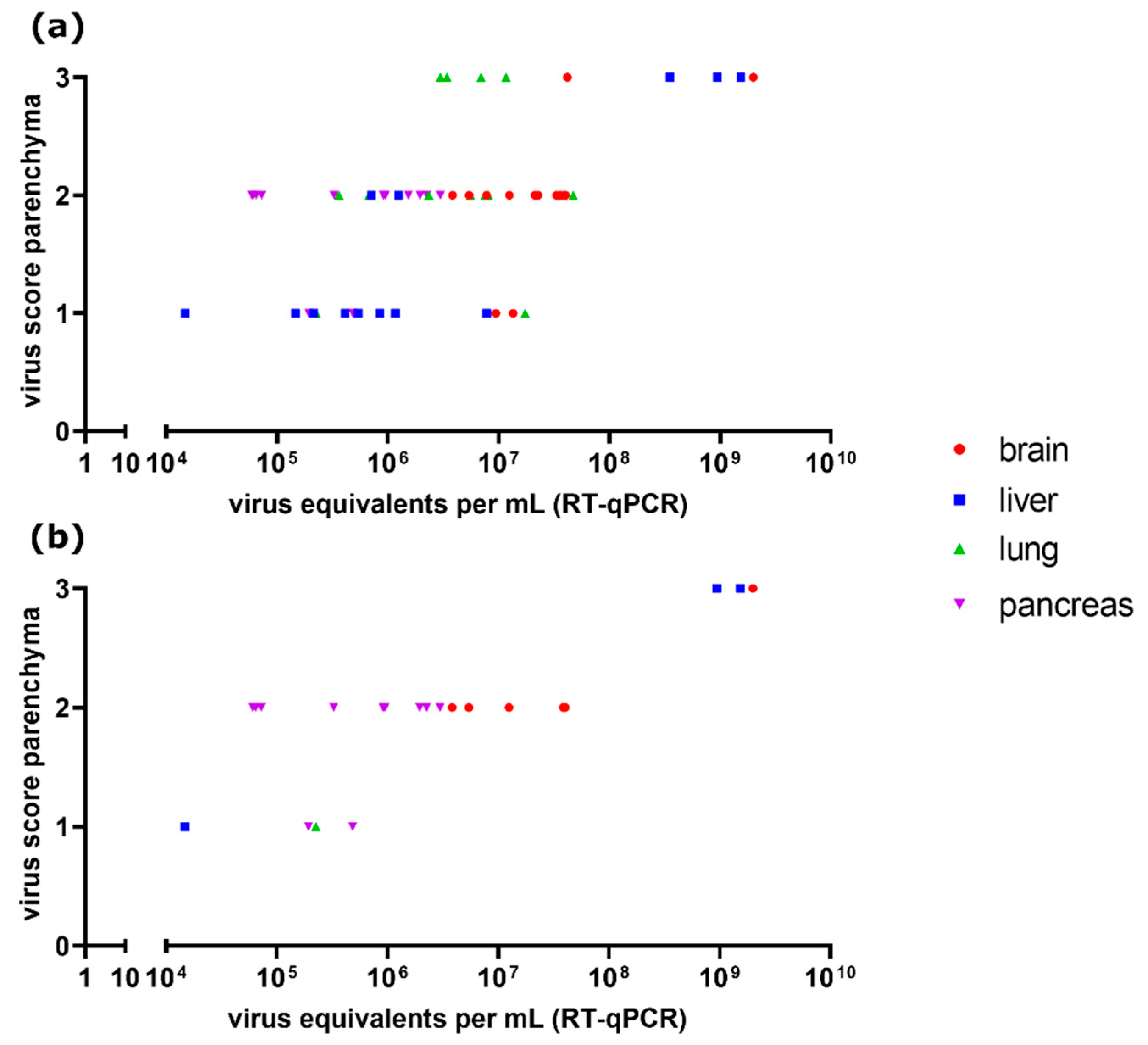 Viruses 13 00868 g008
