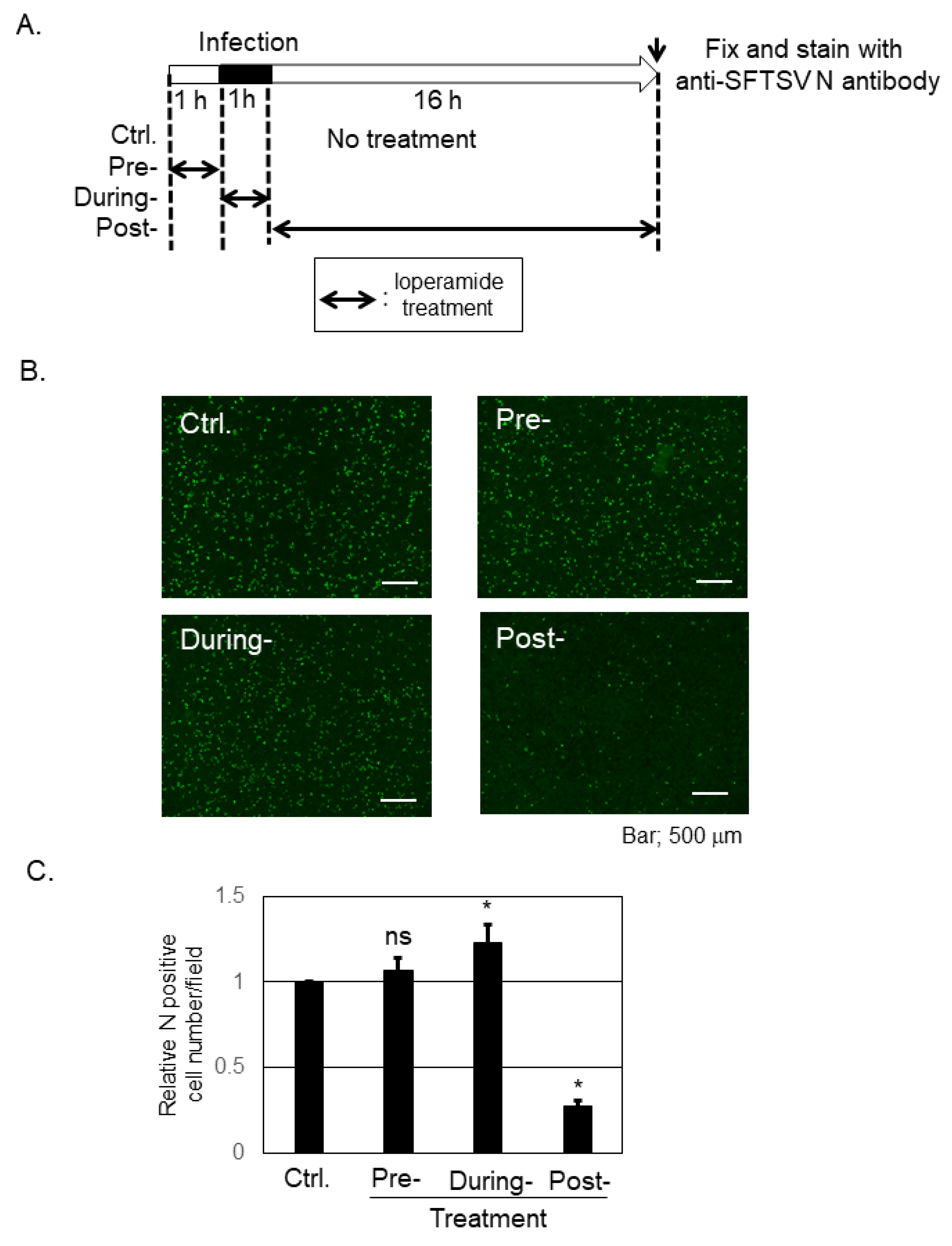 Viruses 13 00869 g002