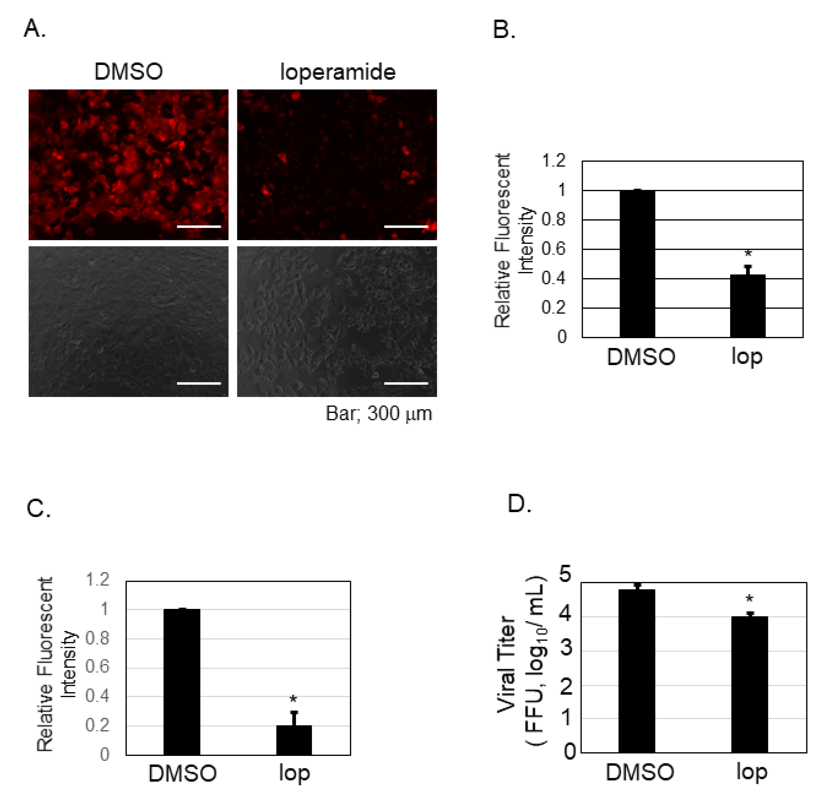 Viruses 13 00869 g004