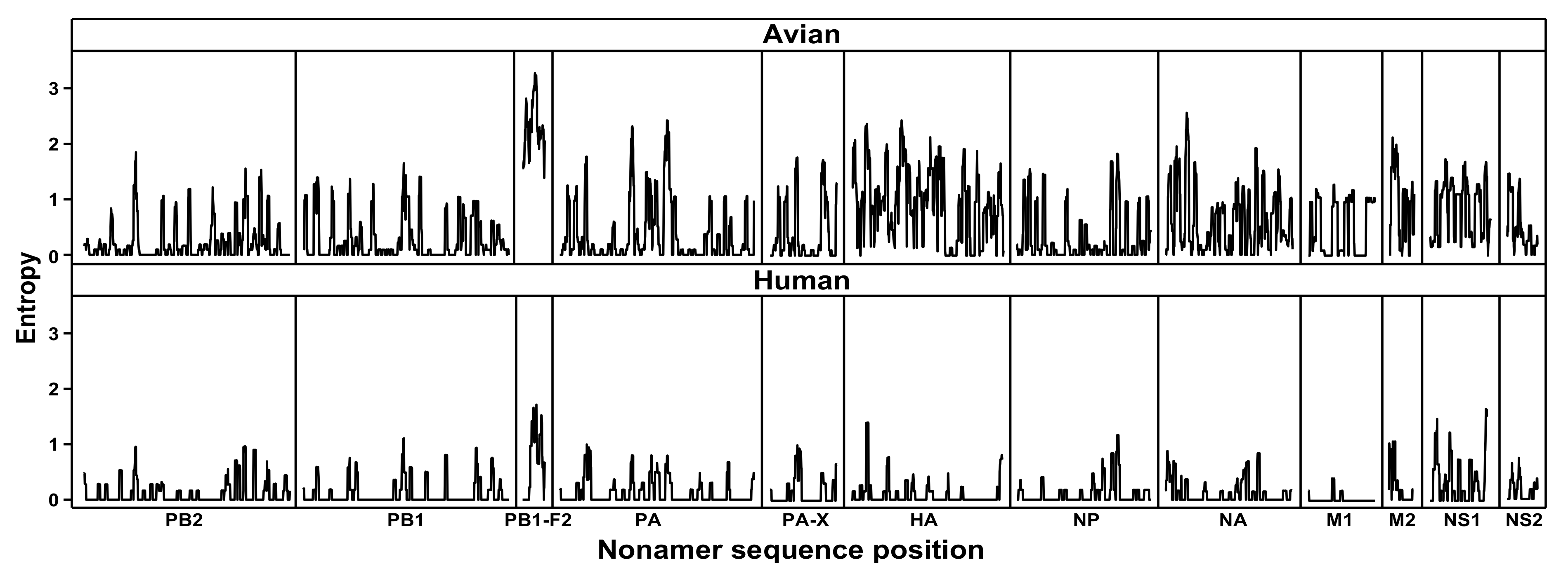 Viruses 13 00871 g001