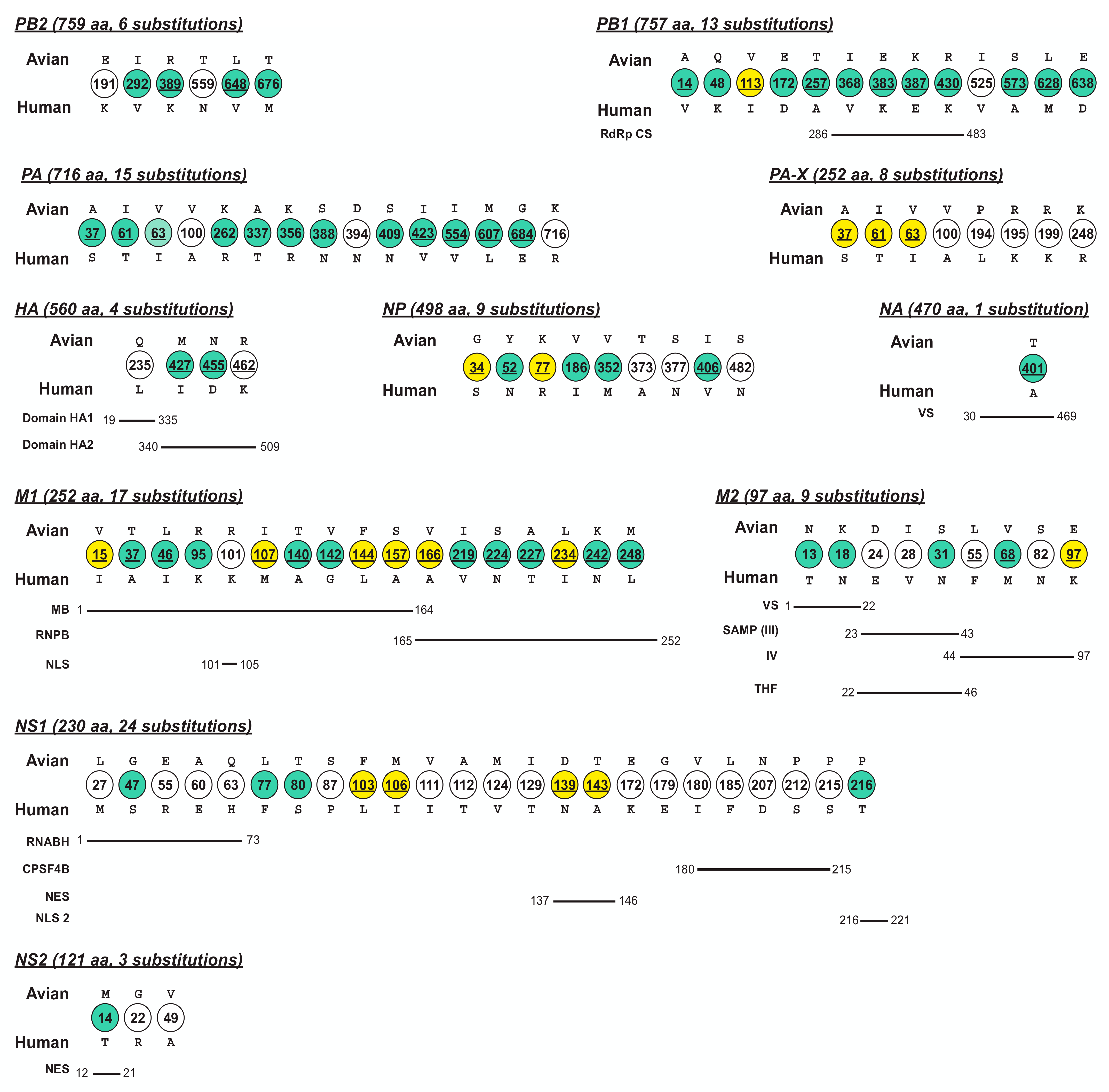 Viruses 13 00871 g002