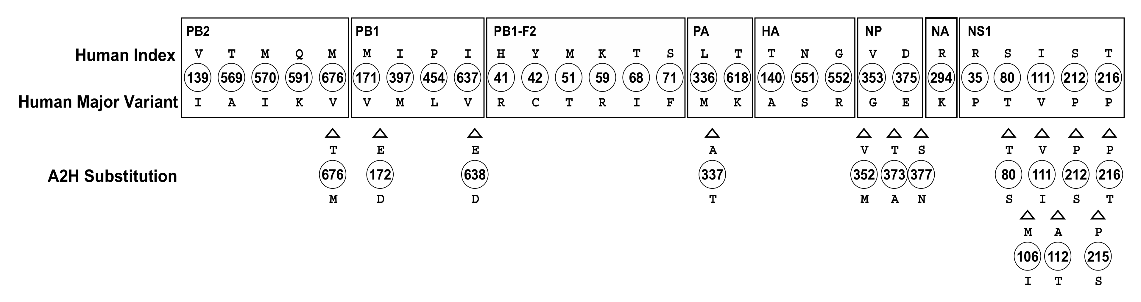 Viruses 13 00871 g004