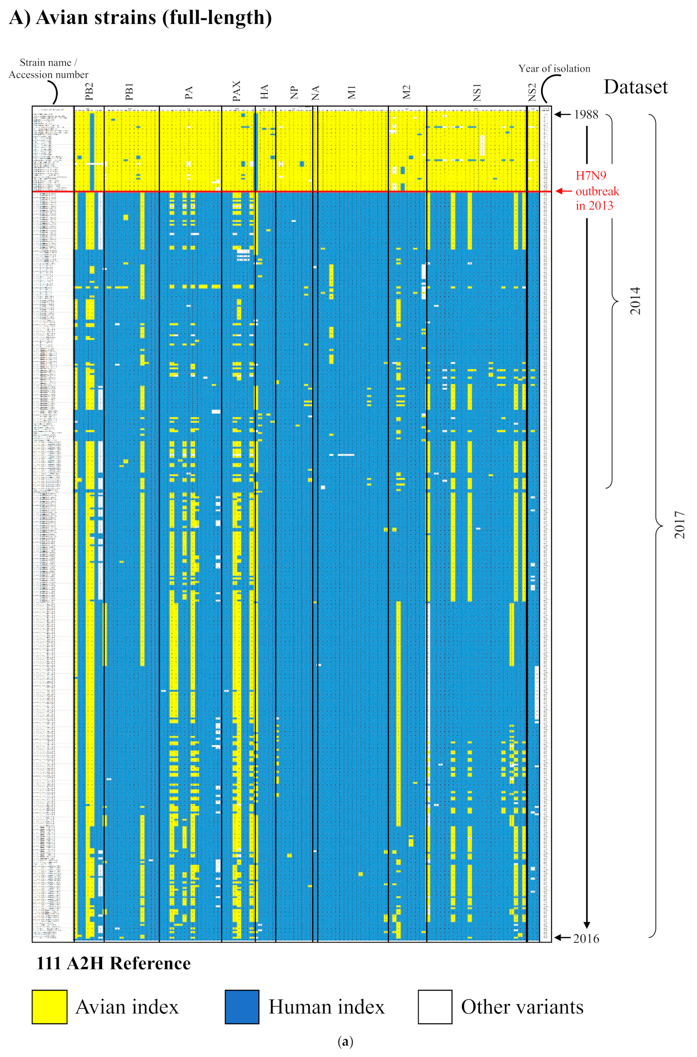 Viruses 13 00871 g005a