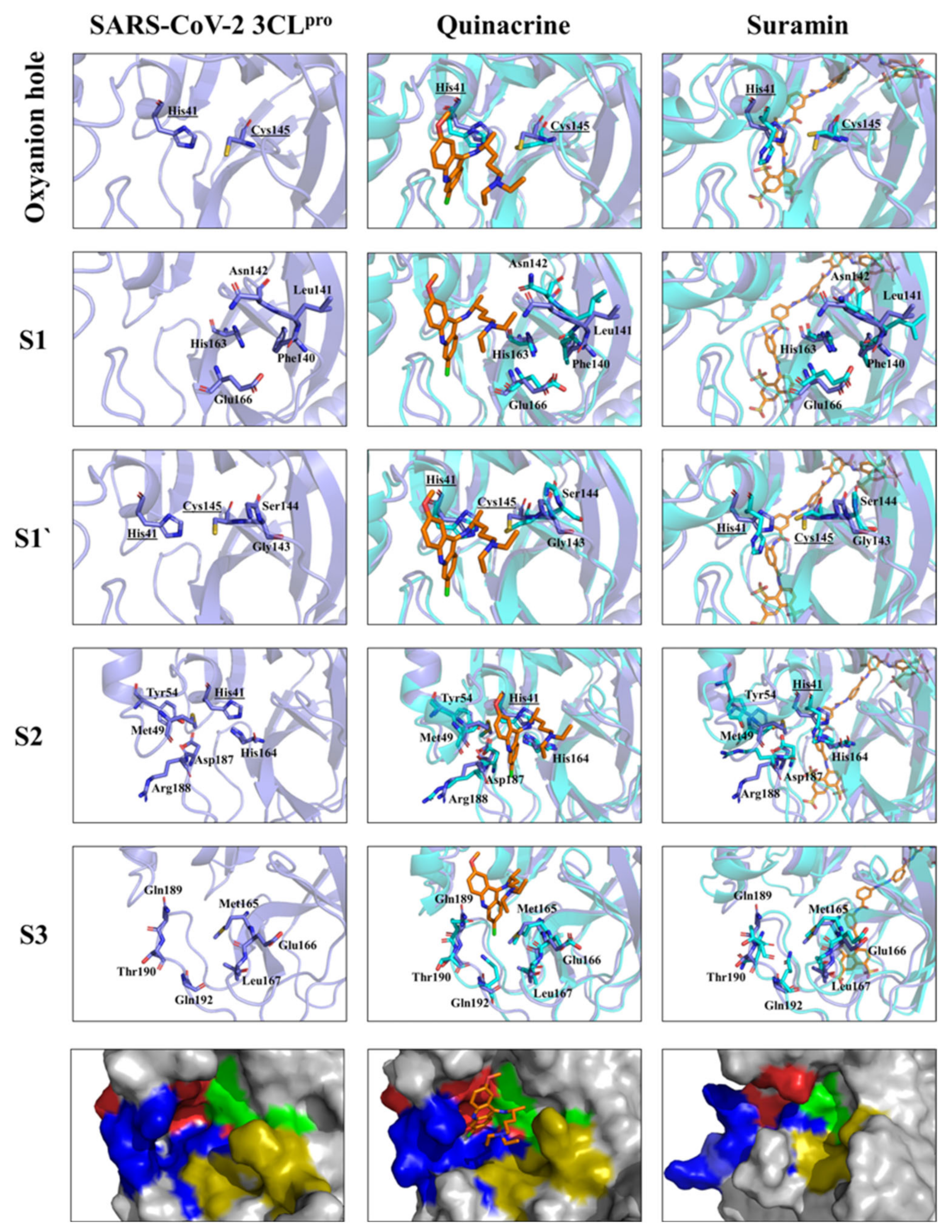 Viruses 13 00873 g006