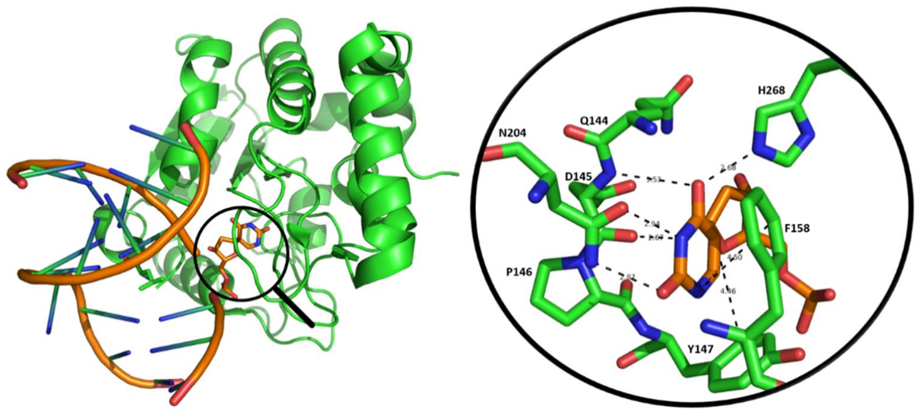 Viruses 13 00875 g002