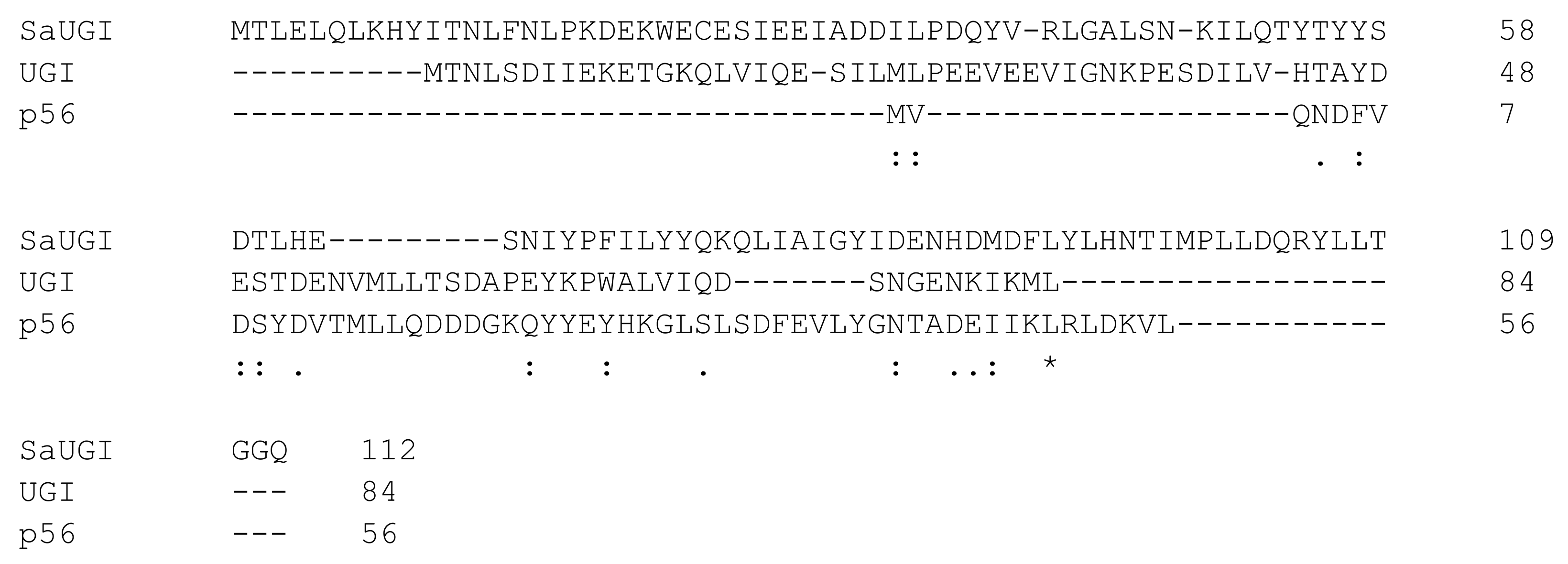 Viruses 13 00875 g003