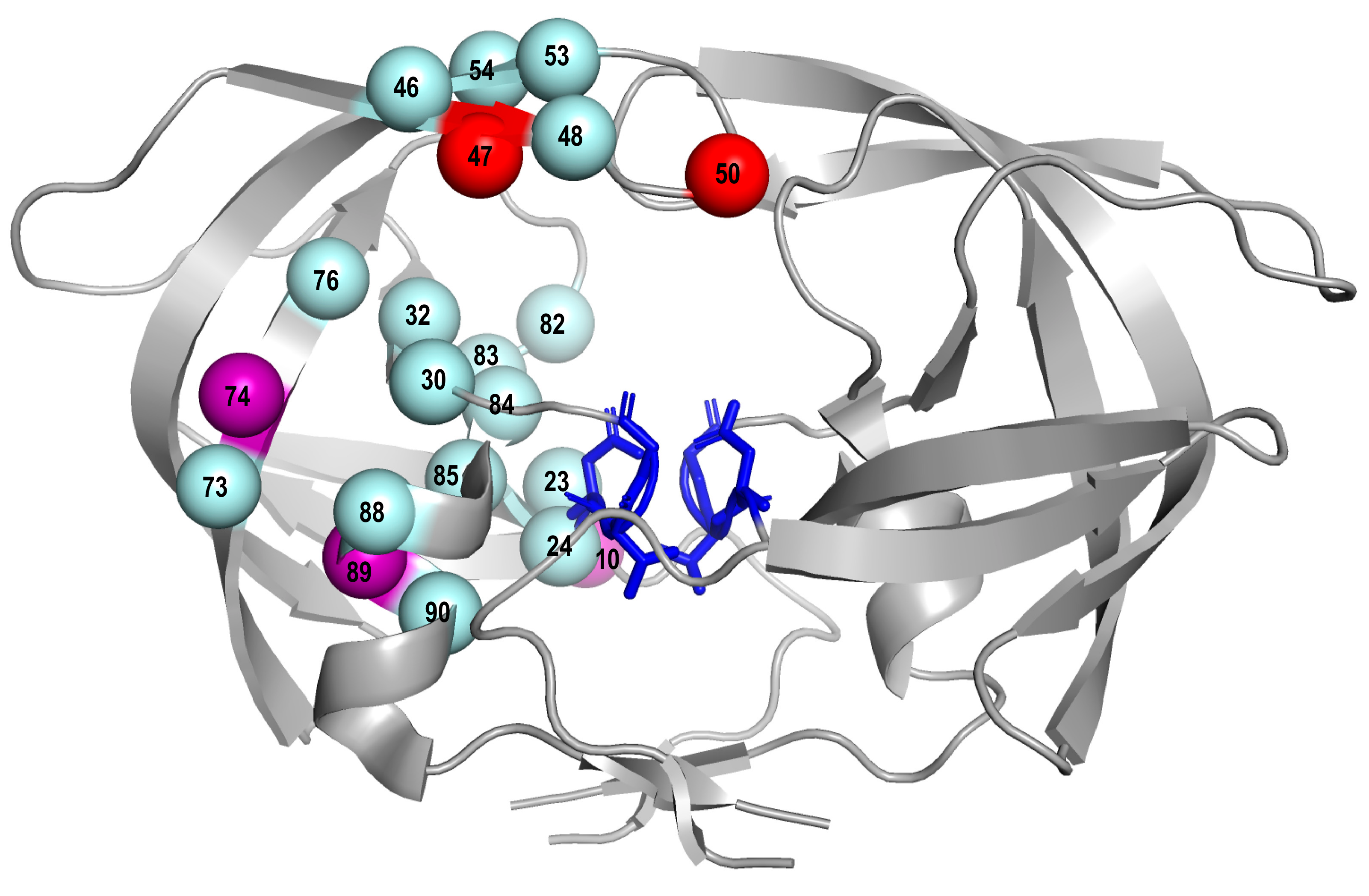 Viruses 13 00879 g003