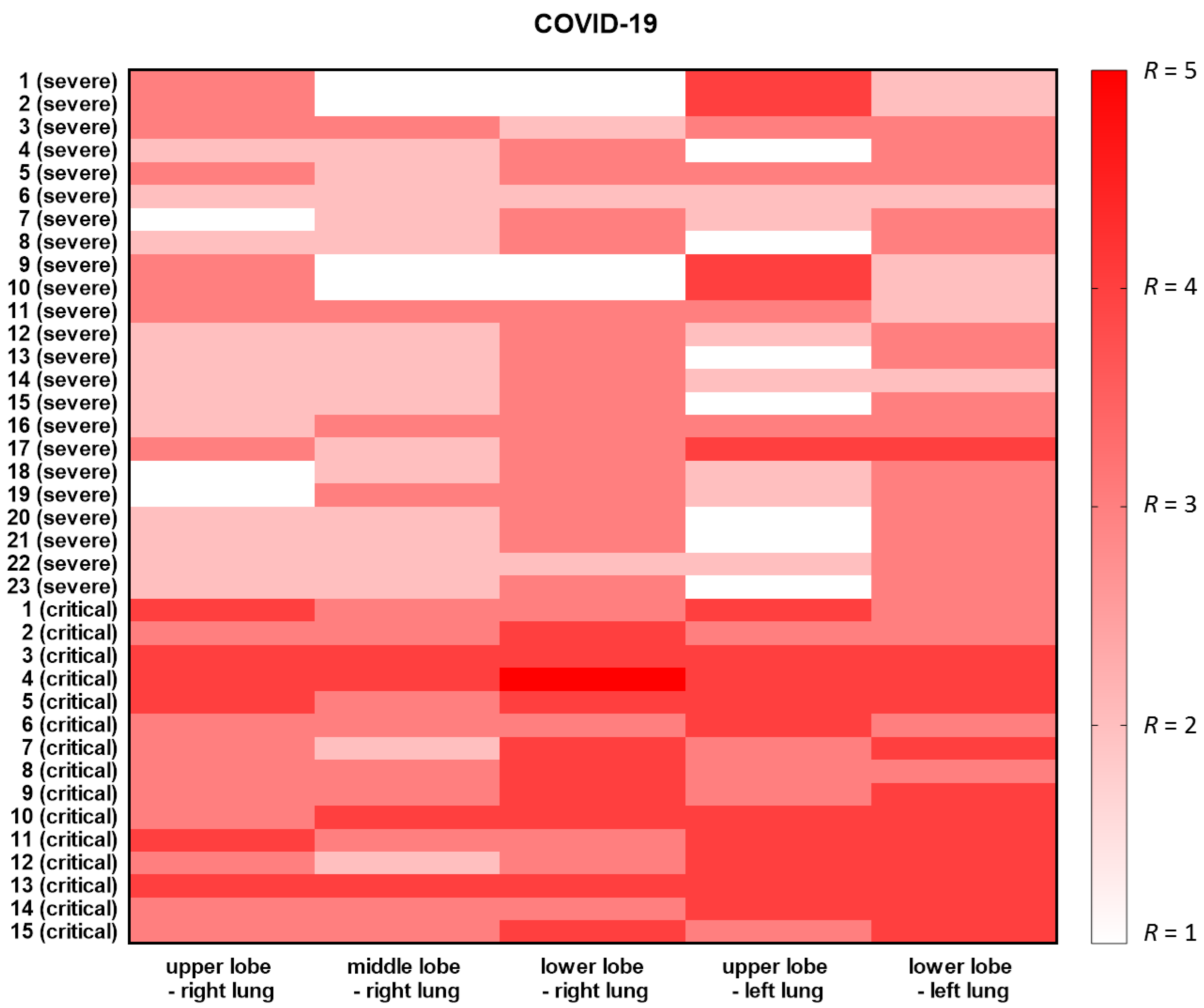 Viruses 13 00880 g001