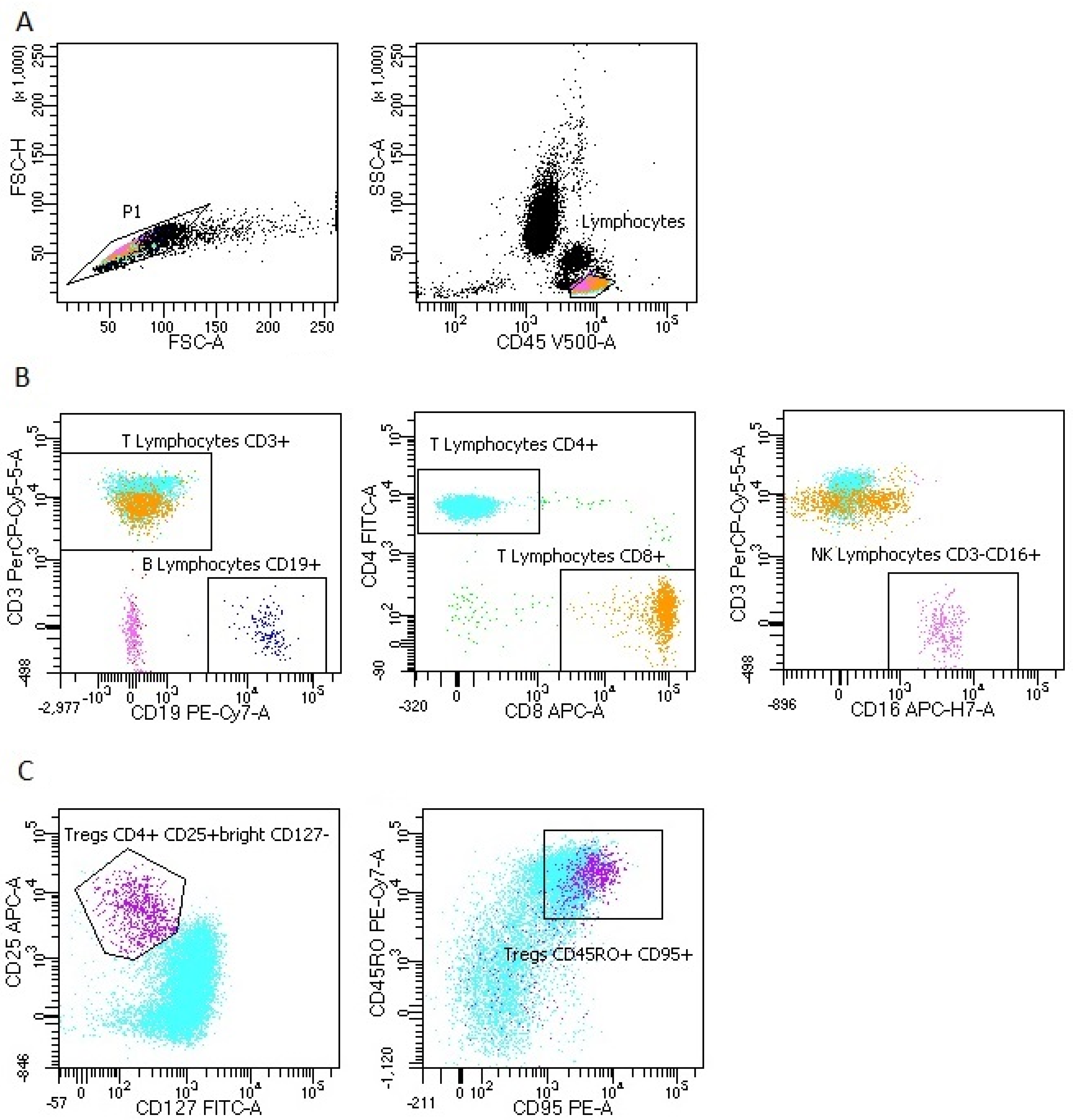 Viruses 13 00880 g0a2