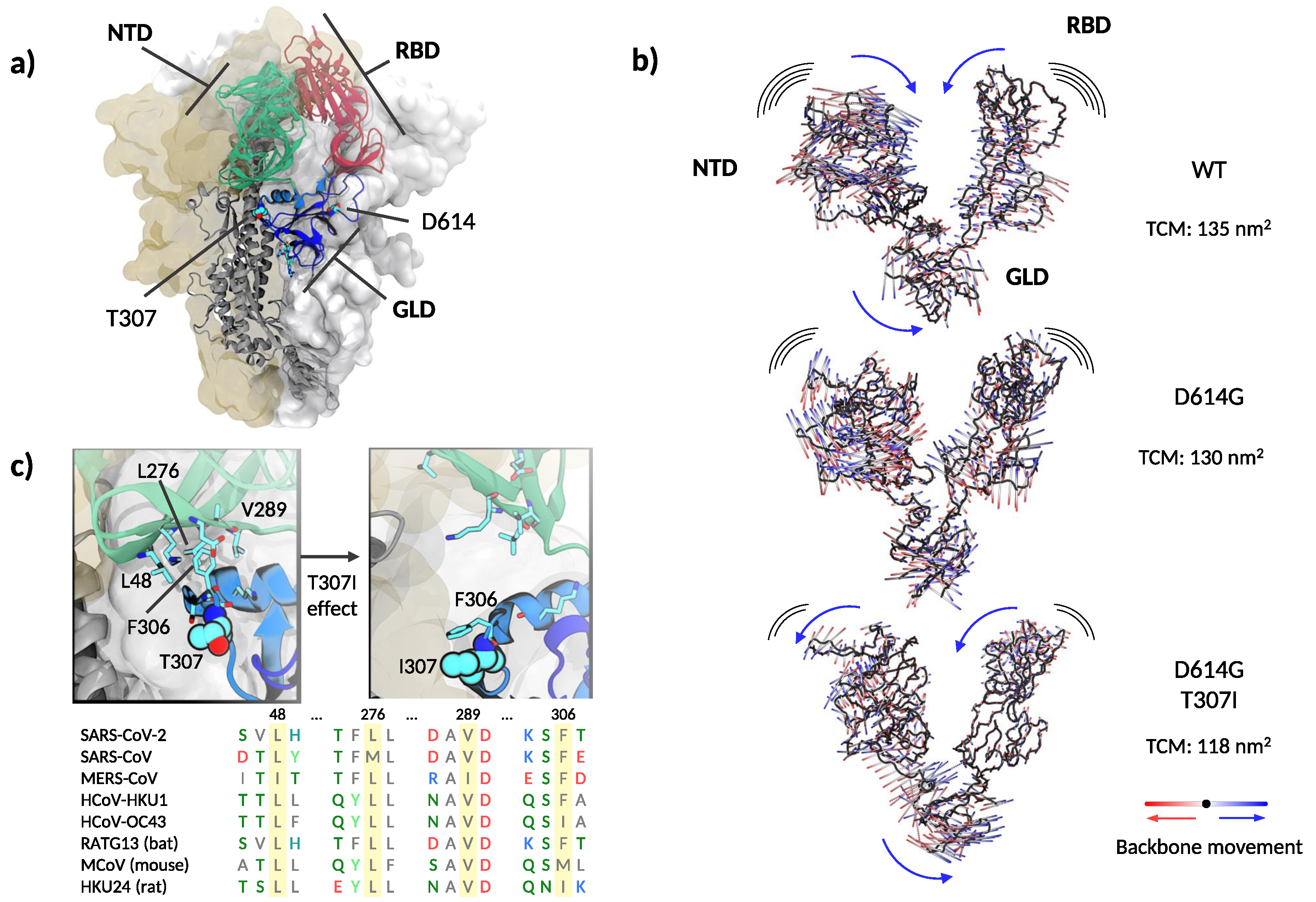 Viruses 13 00883 g004 Viruses 13 00883 g004