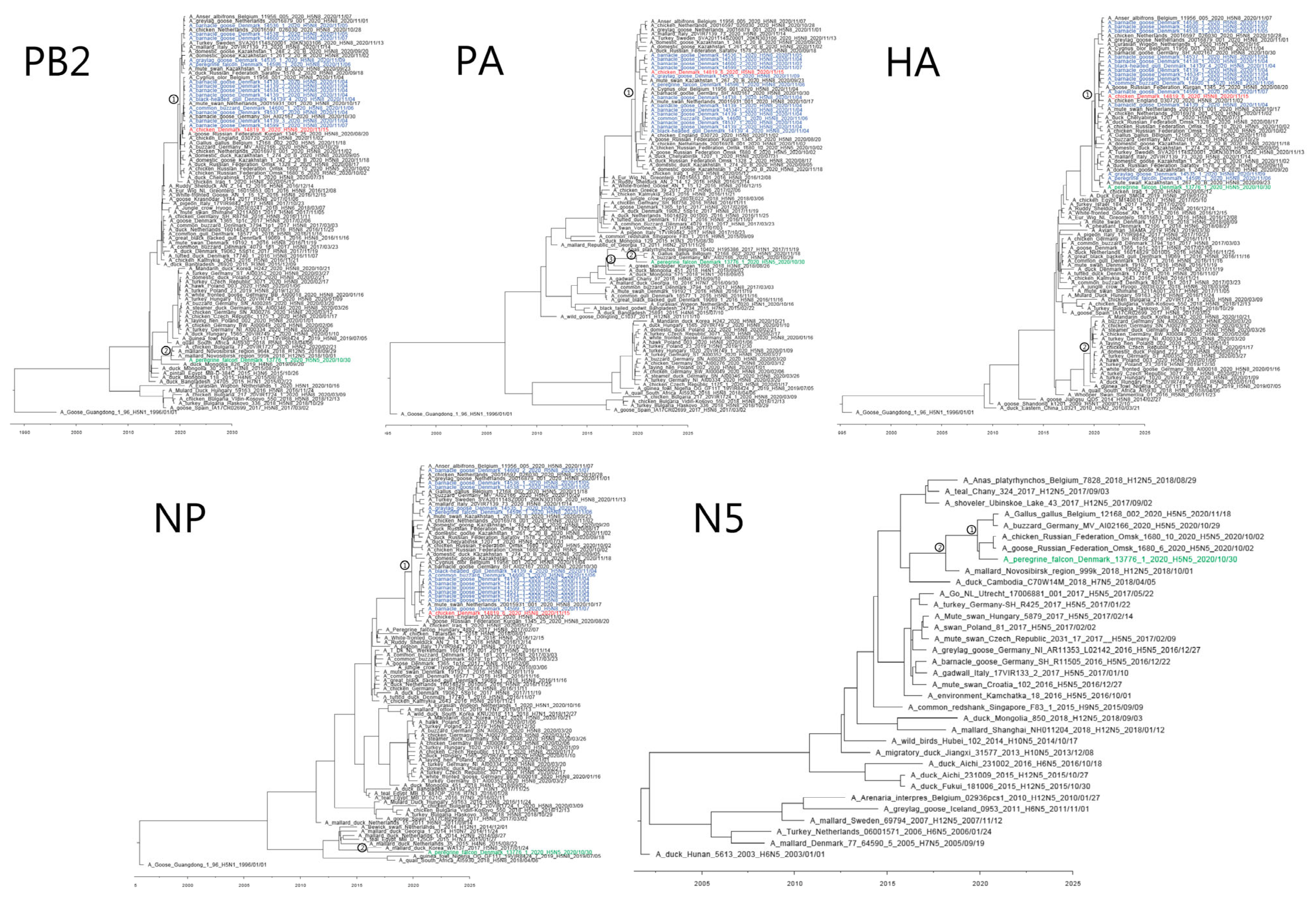 Viruses 13 00886 g002