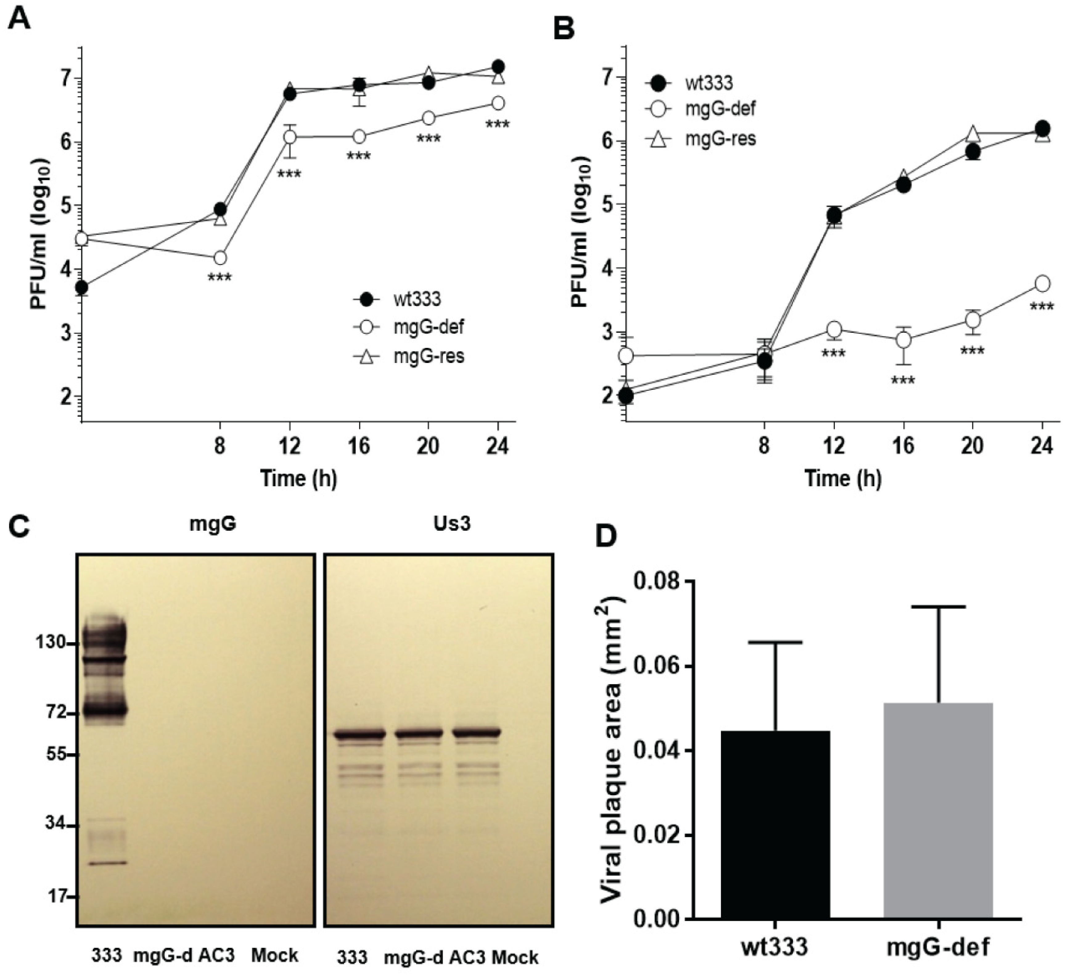 Viruses 13 00887 g001