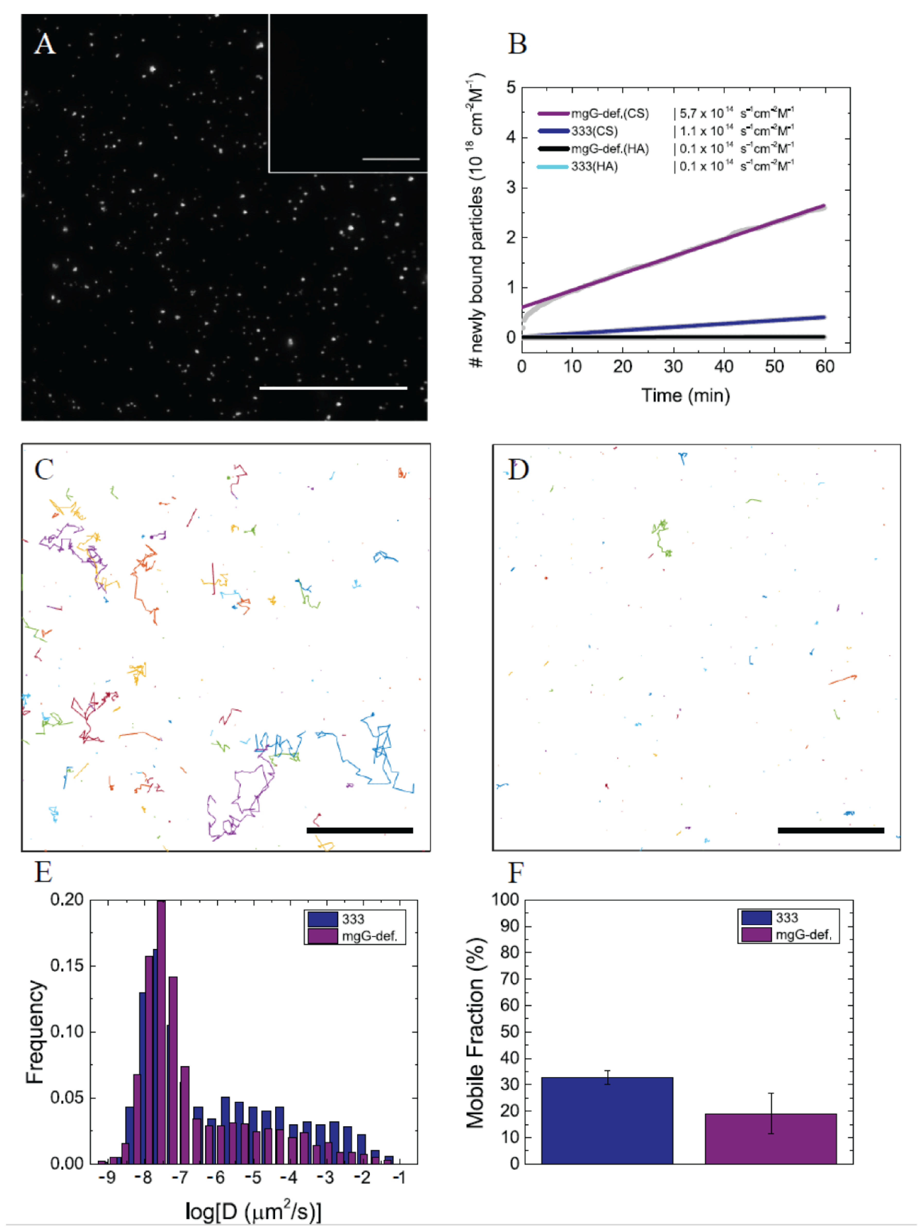 Viruses 13 00887 g005