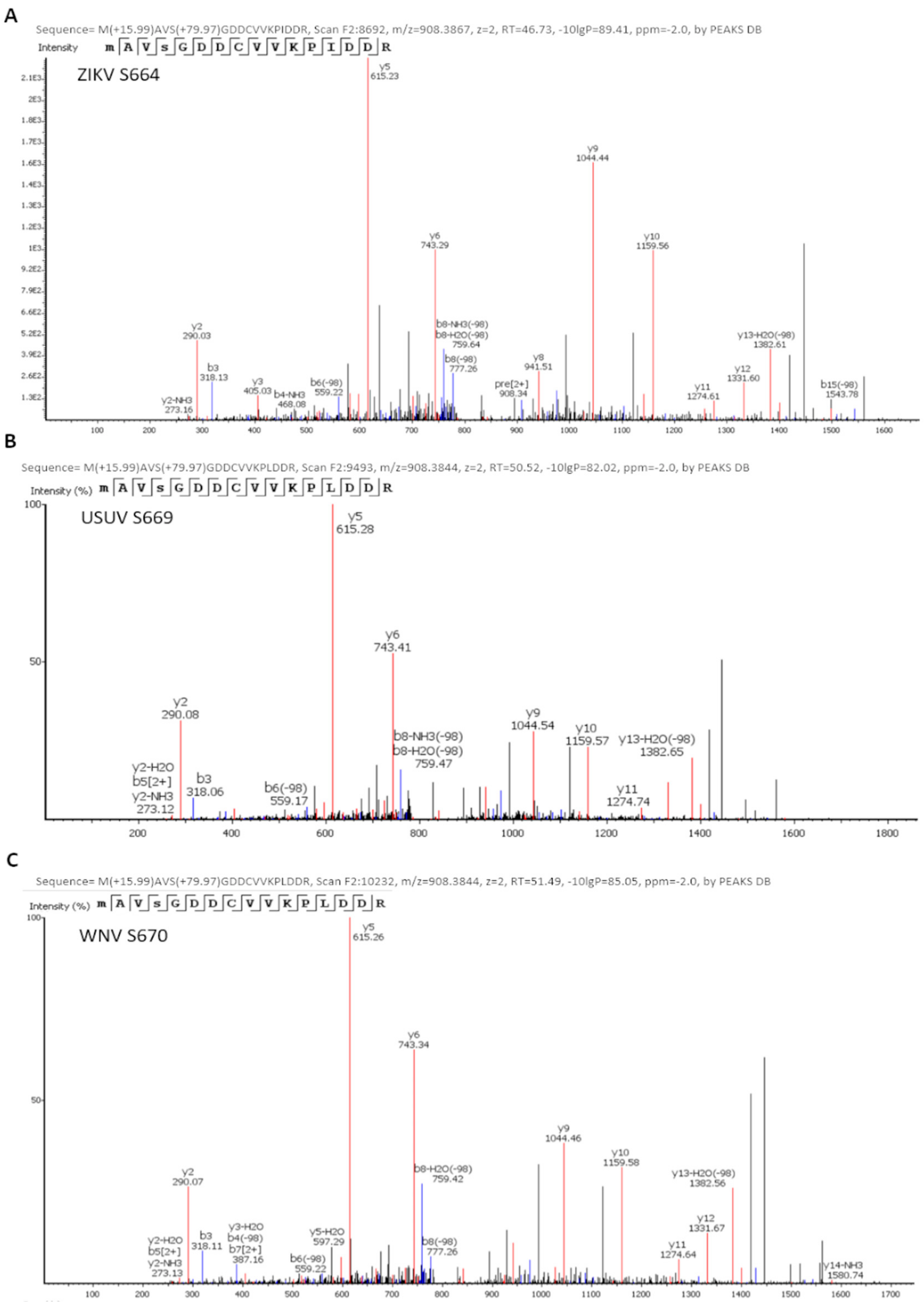 Viruses 13 00896 g003 Viruses 13 00896 g003