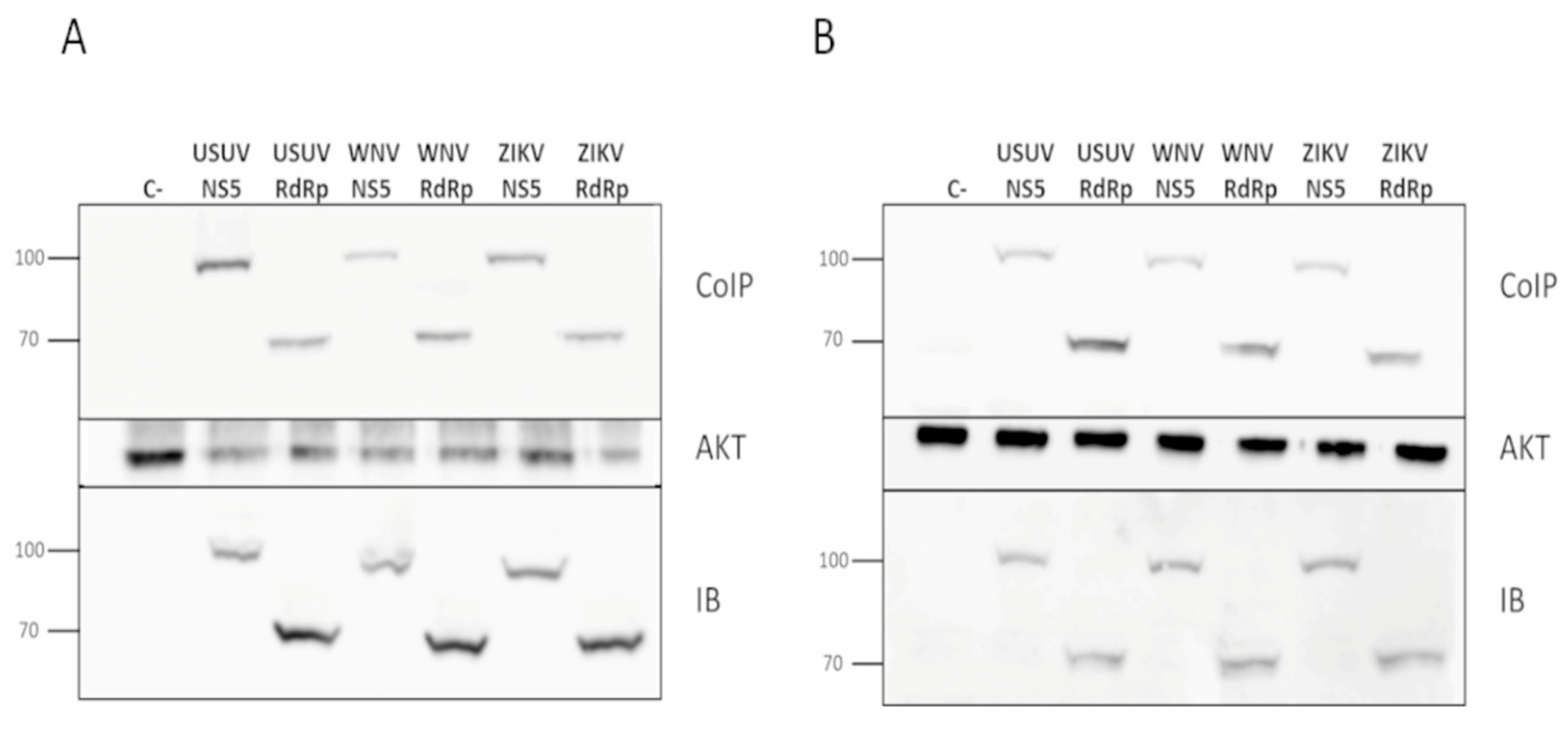Viruses 13 00896 g004 Viruses 13 00896 g004