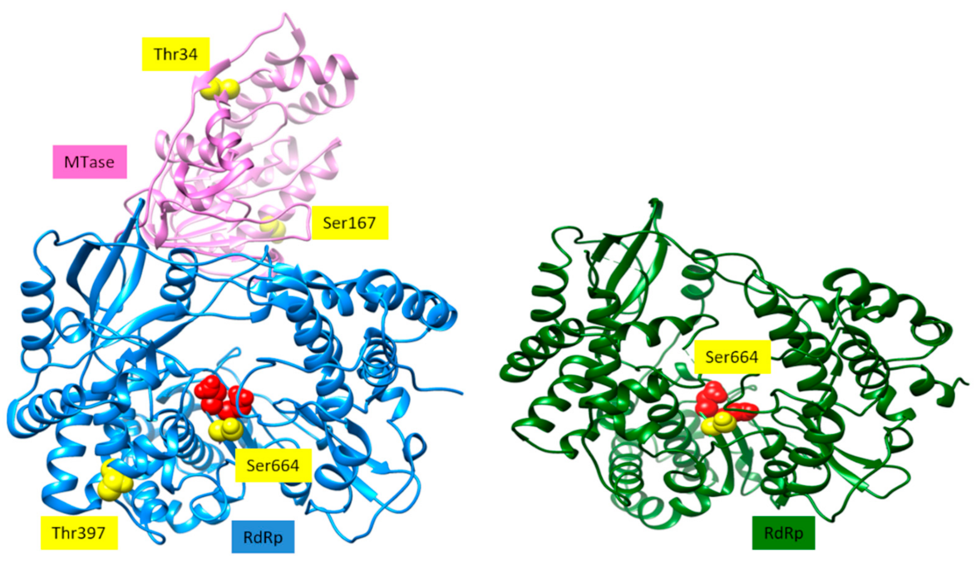Viruses 13 00896 g005 Viruses 13 00896 g005