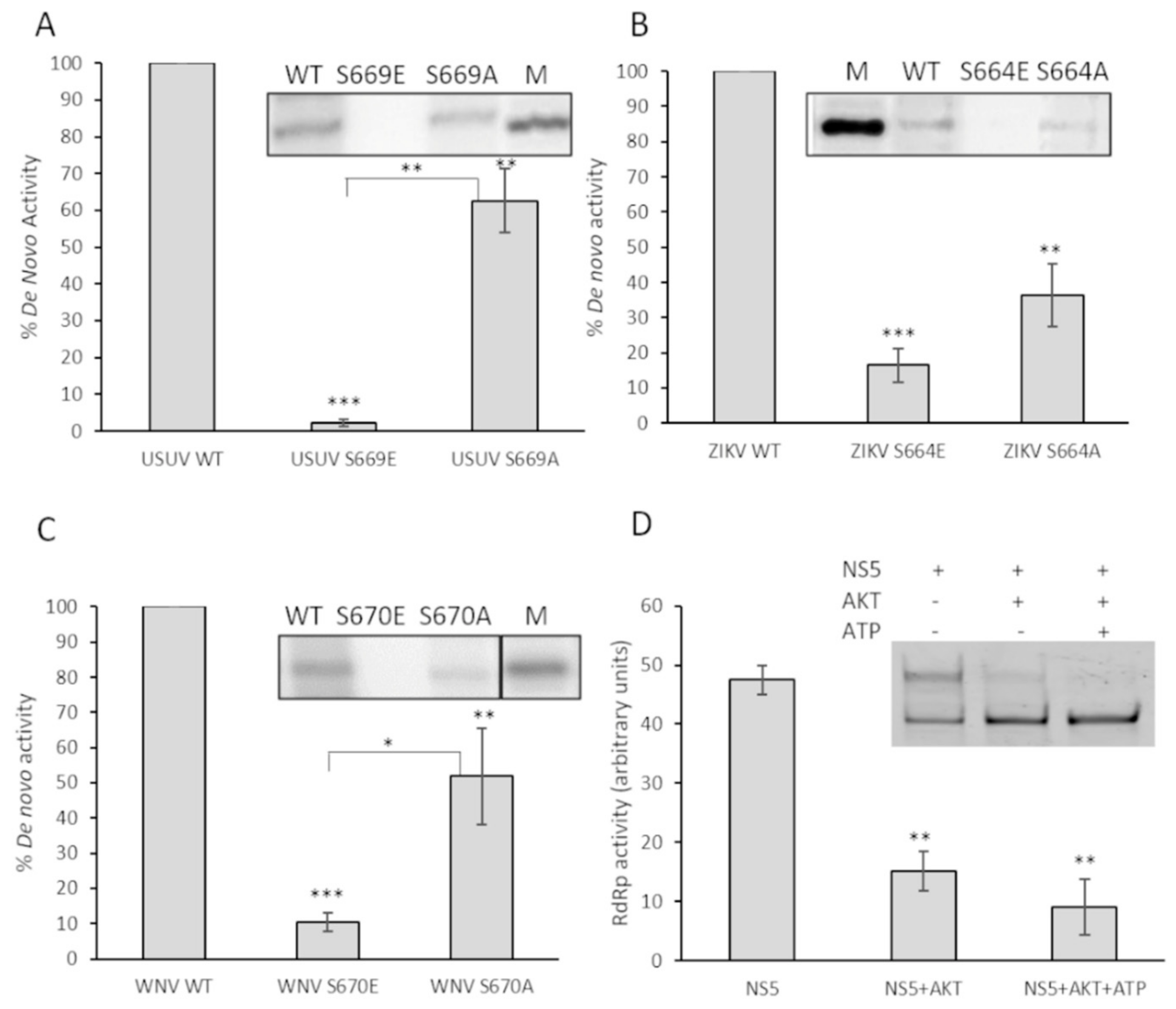 Viruses 13 00896 g007 Viruses 13 00896 g007