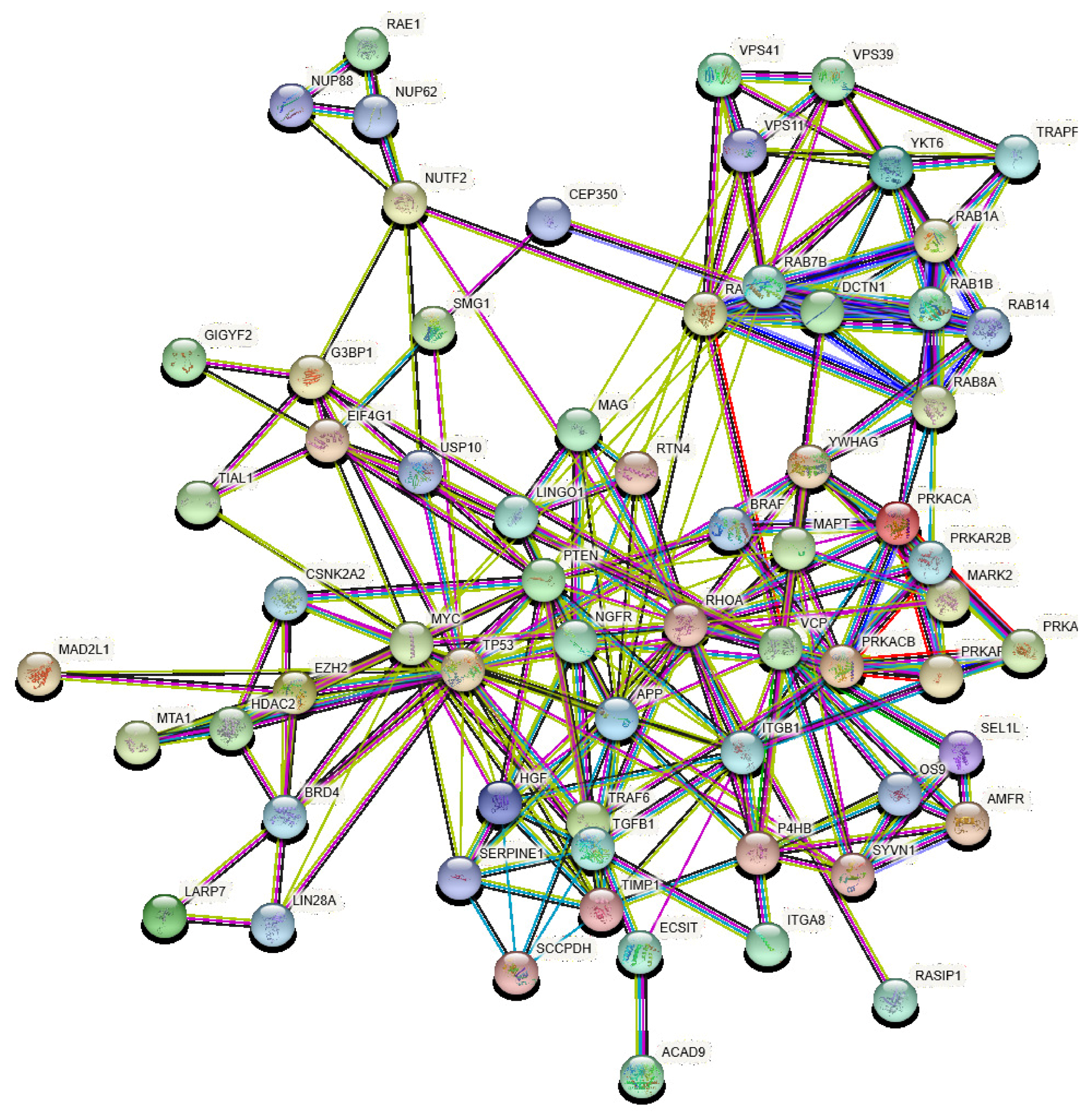 Viruses 13 00897 g002