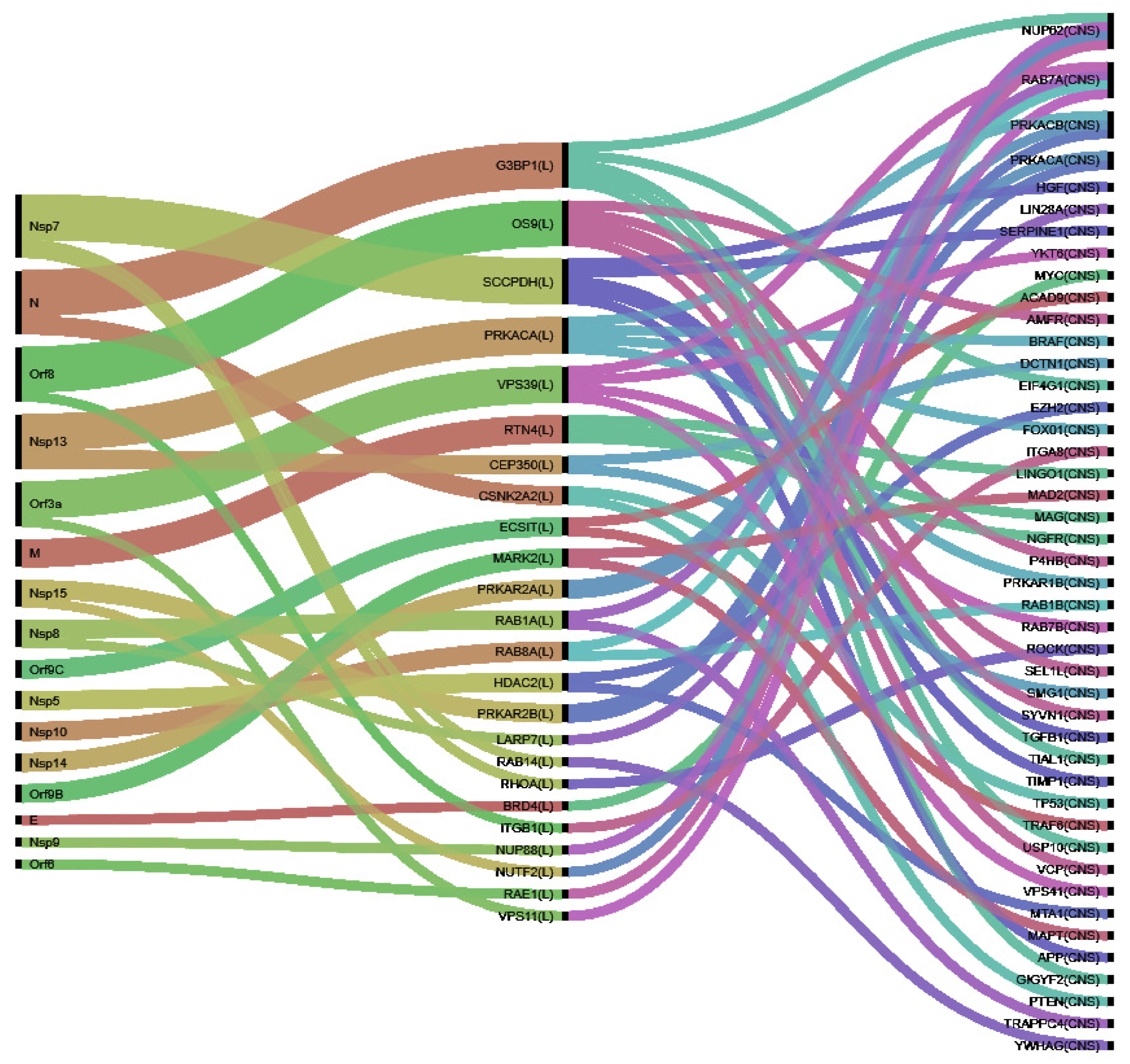 Viruses 13 00897 g003