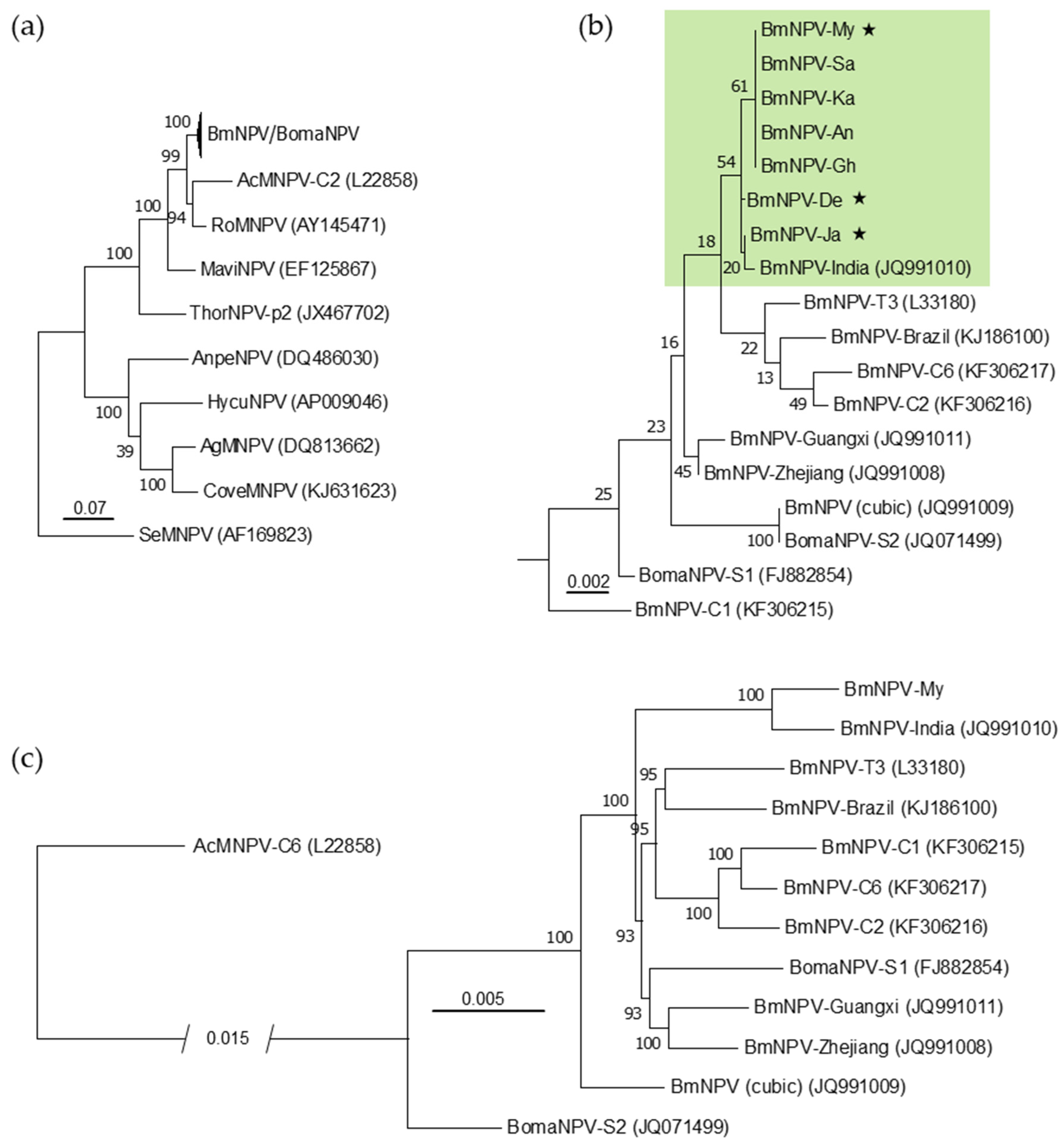 Viruses 13 00901 g002