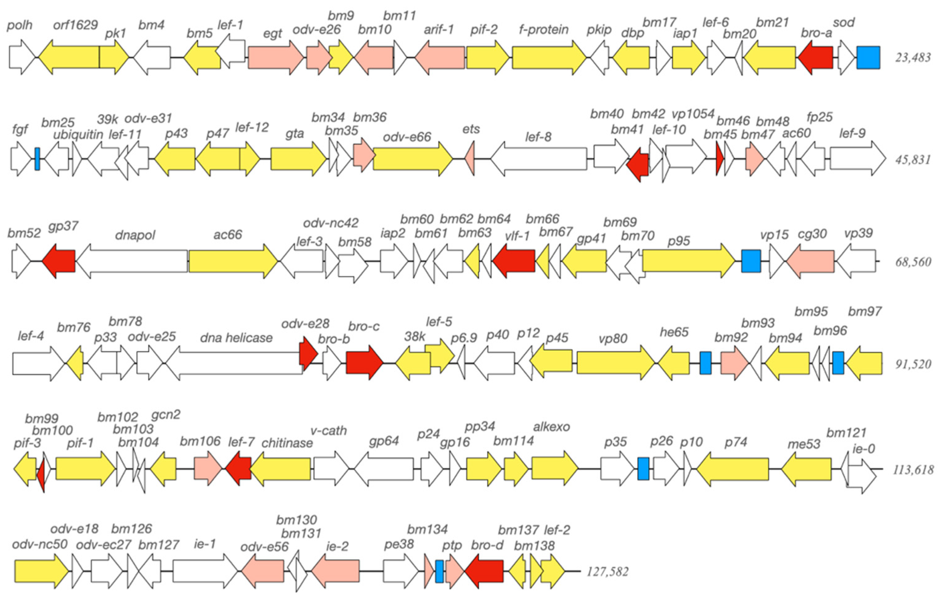 Viruses 13 00901 g003