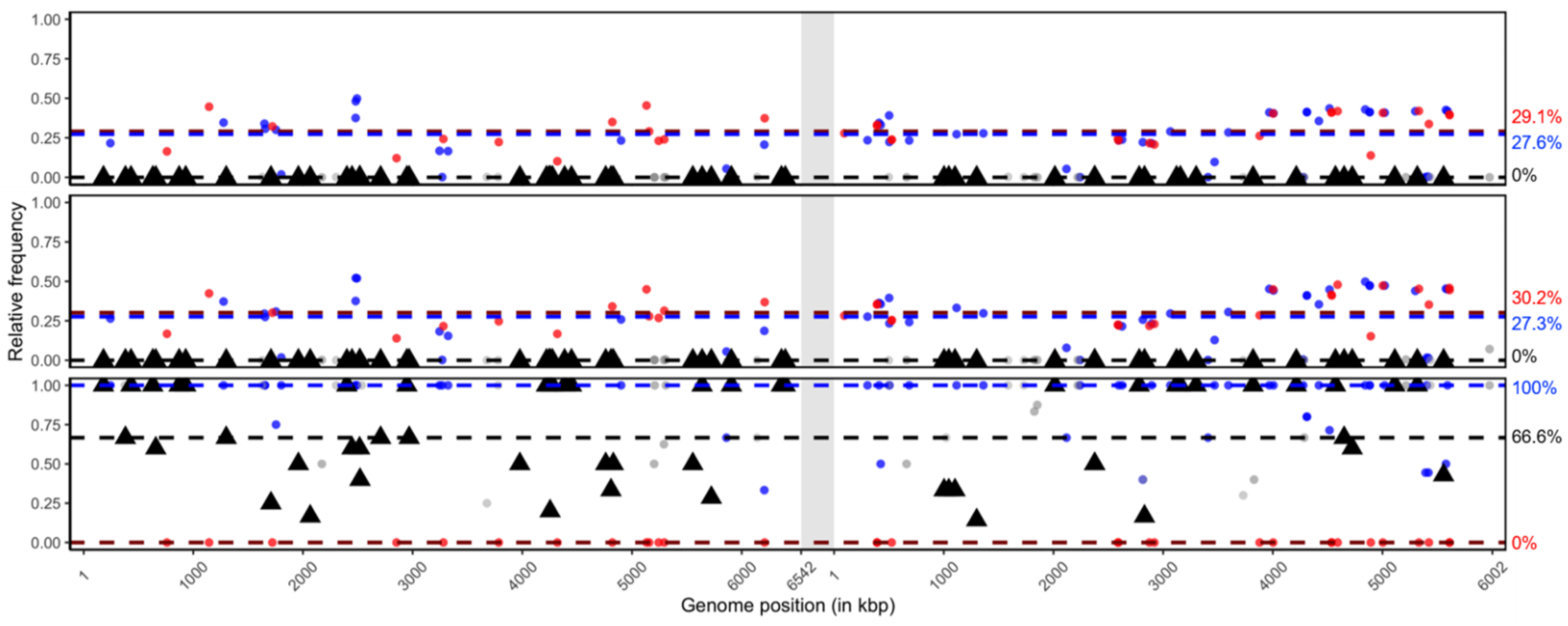 Viruses 13 00901 g007