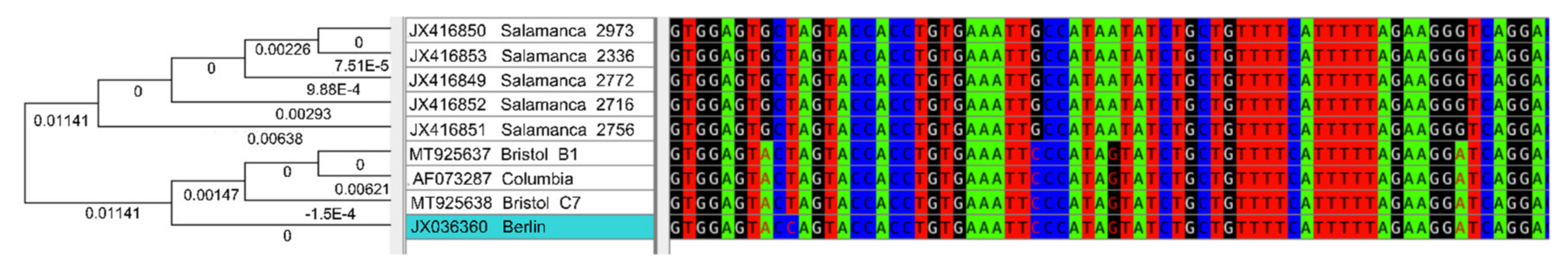 Viruses 13 00907 g002
