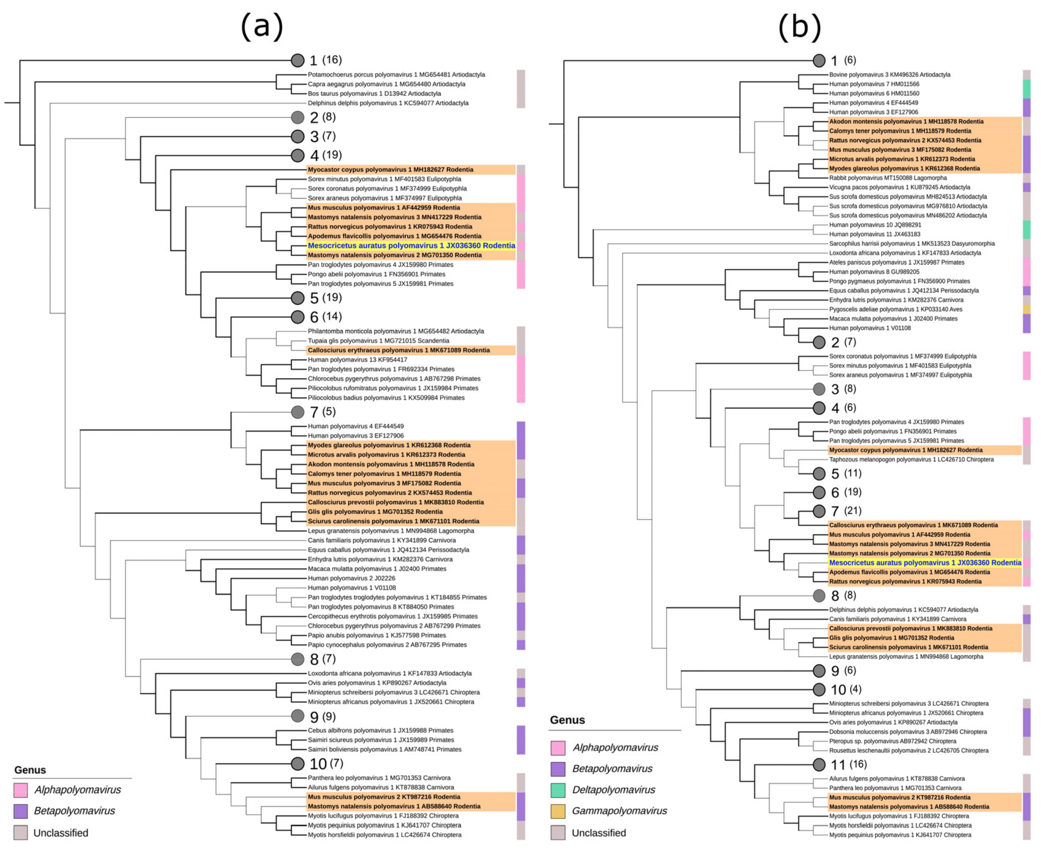 Viruses 13 00907 g003