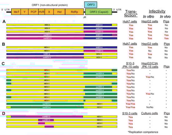 Viruses 13 00909 g002