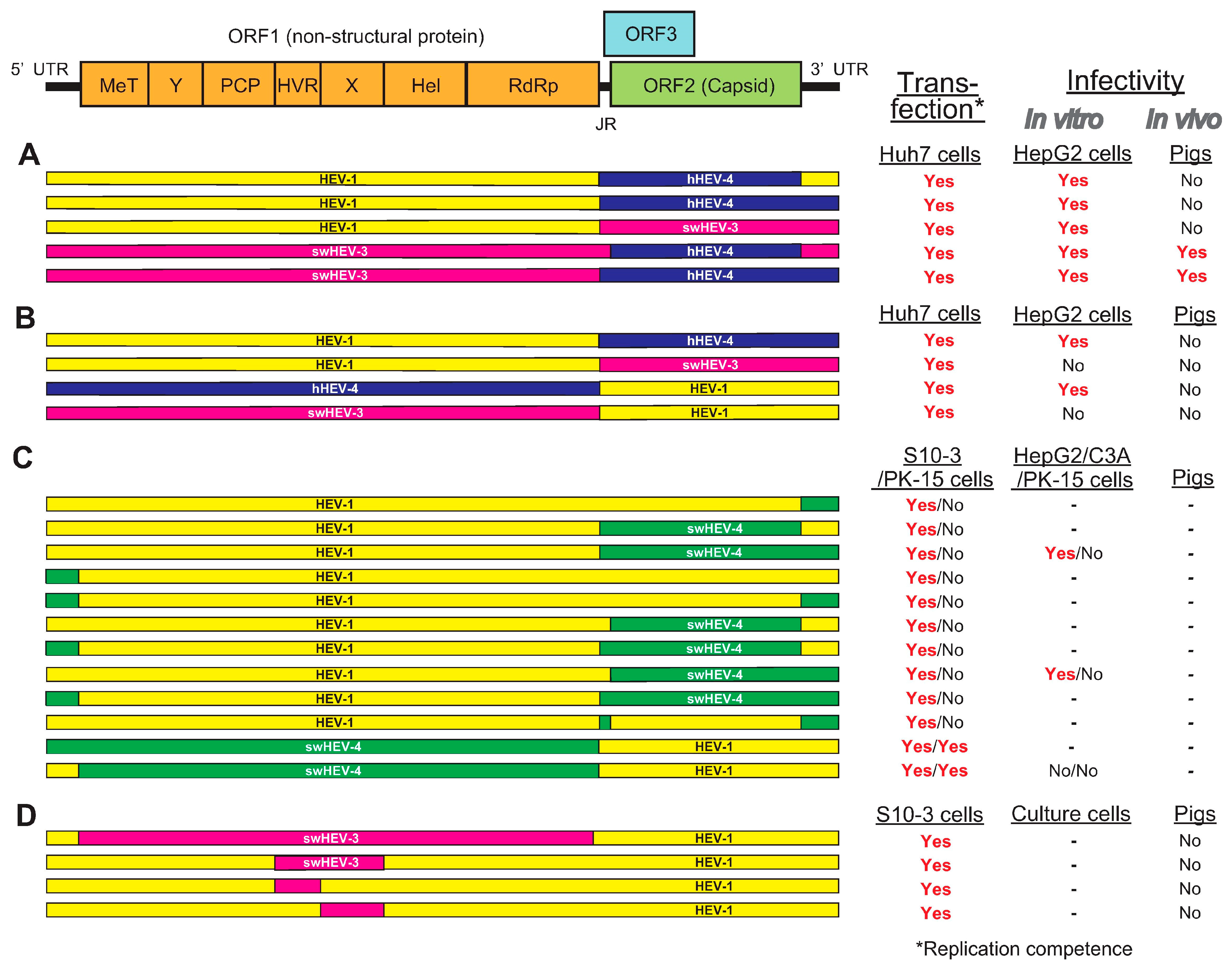 Viruses 13 00909 g002
