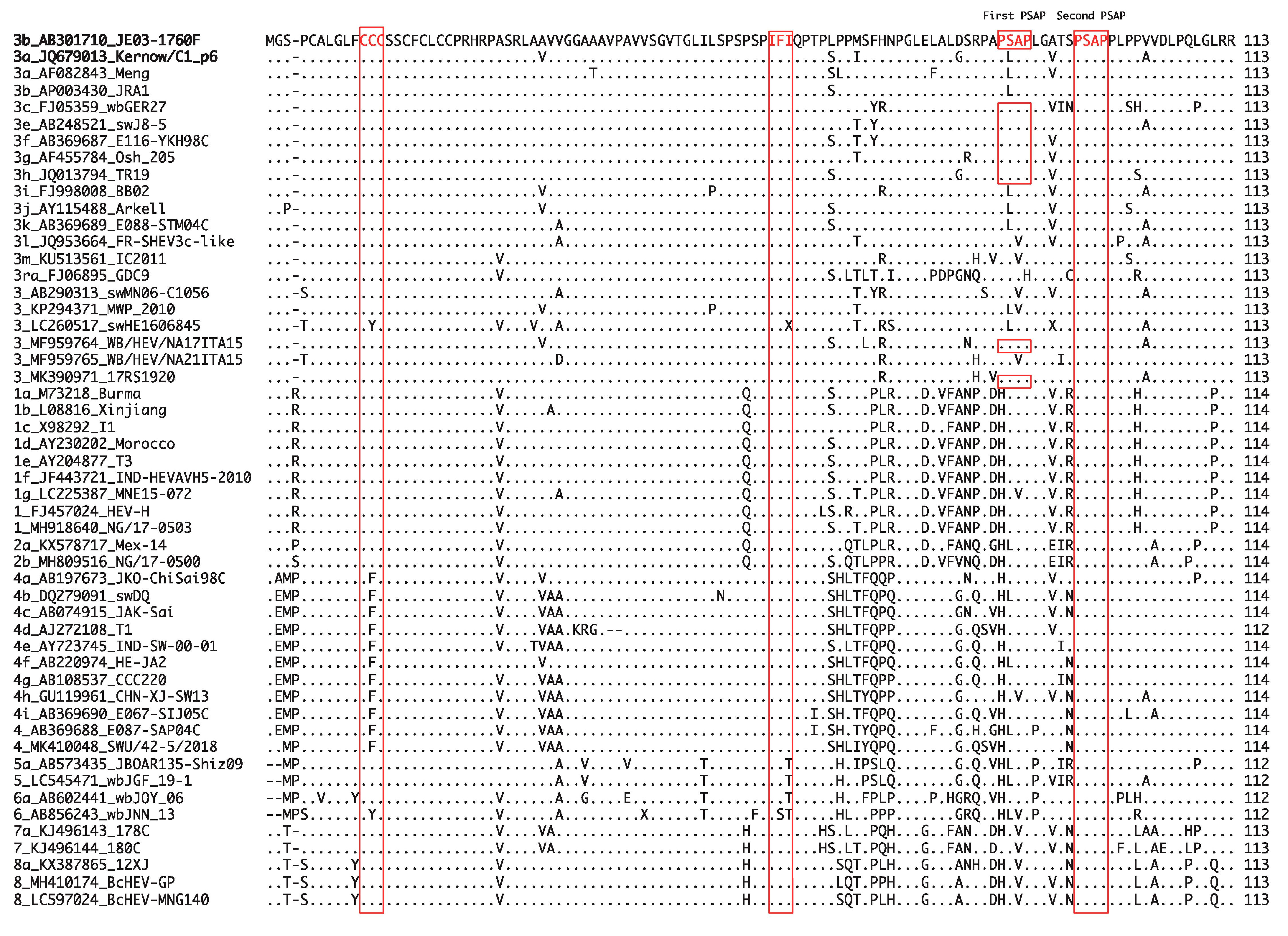 Viruses 13 00909 g003