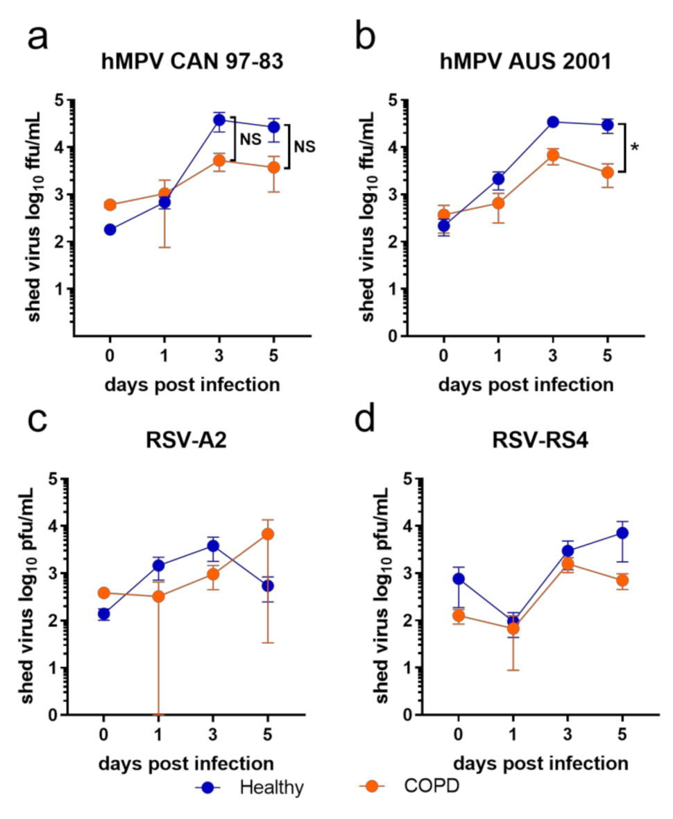 Viruses 13 00911 g001
