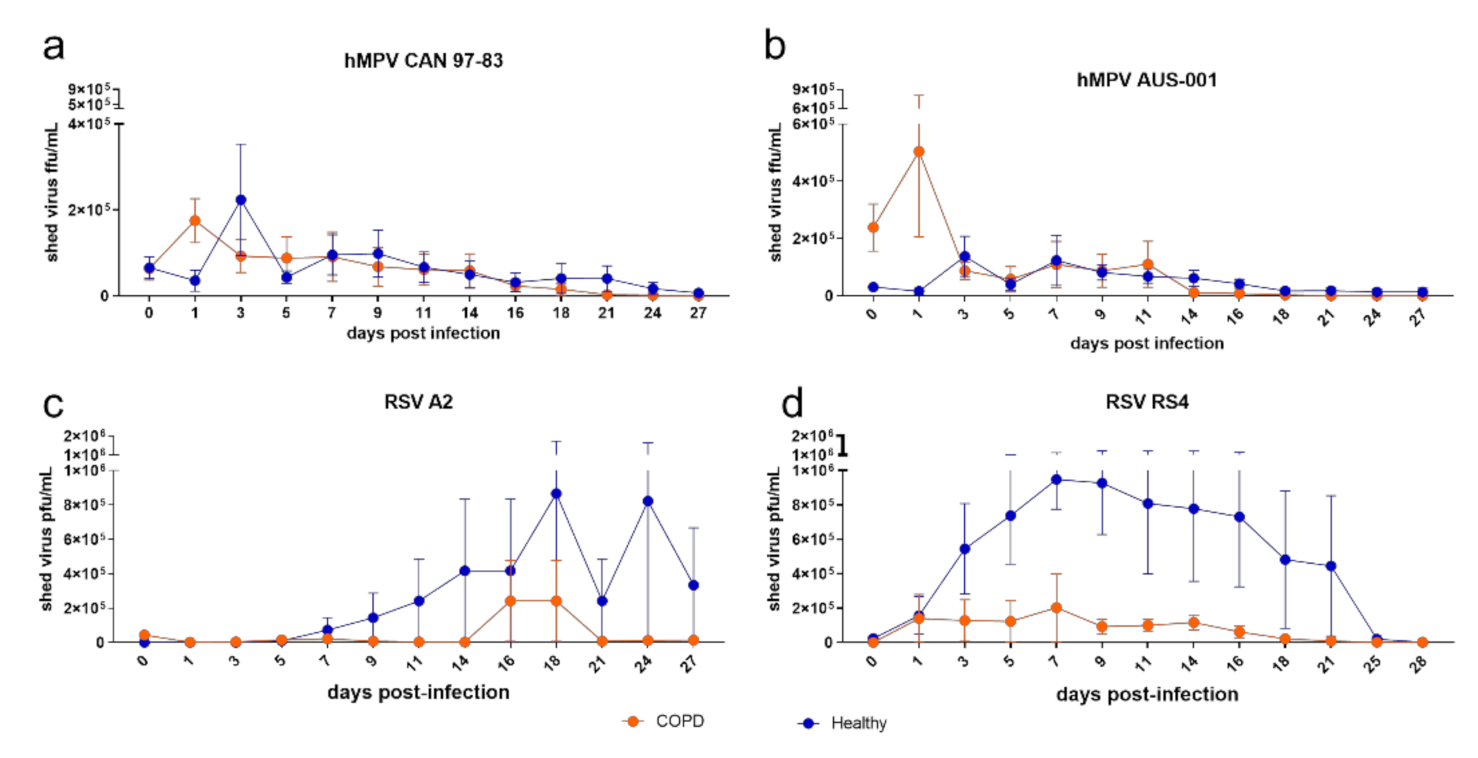 Viruses 13 00911 g004