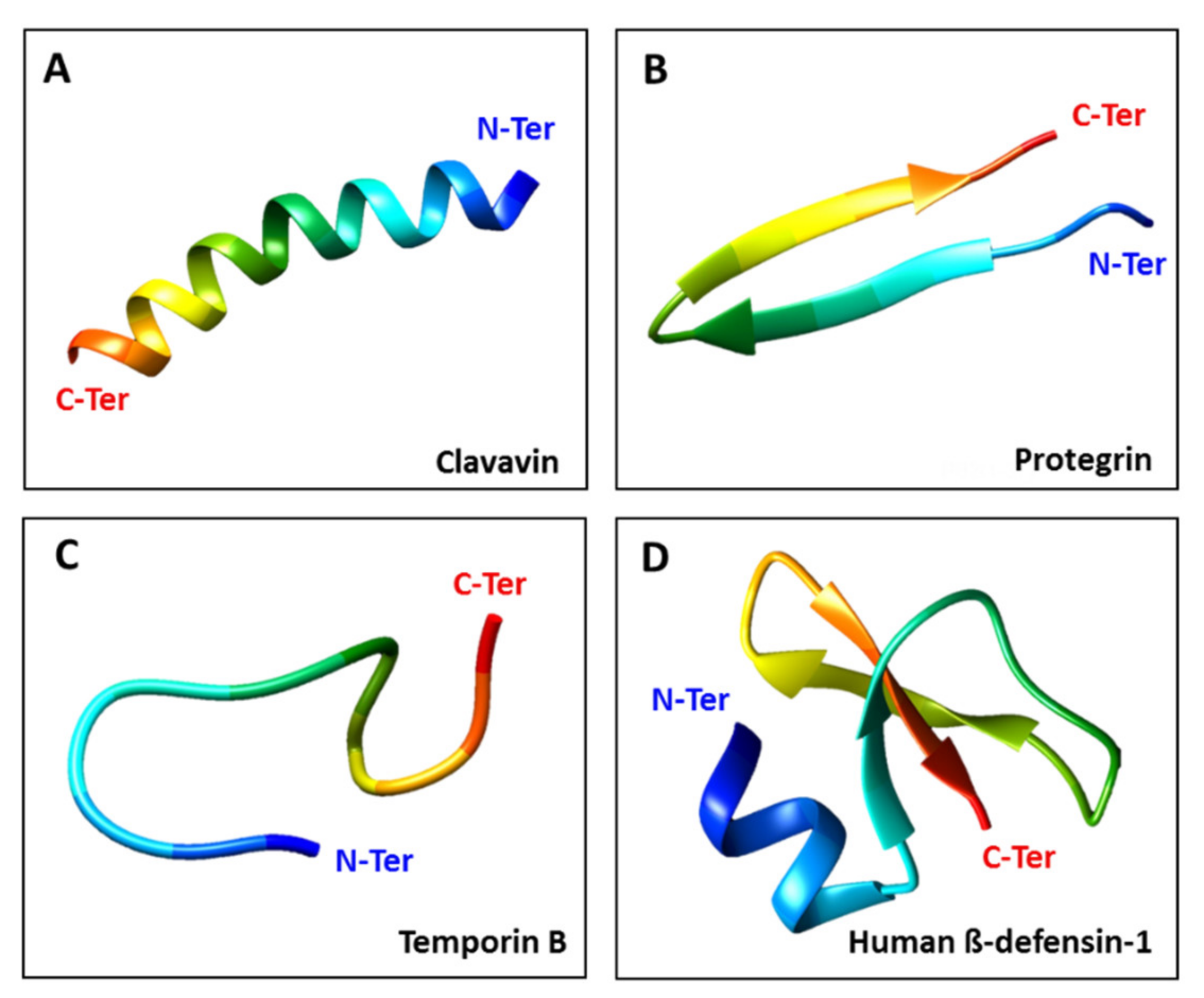 Viruses 13 00912 g001