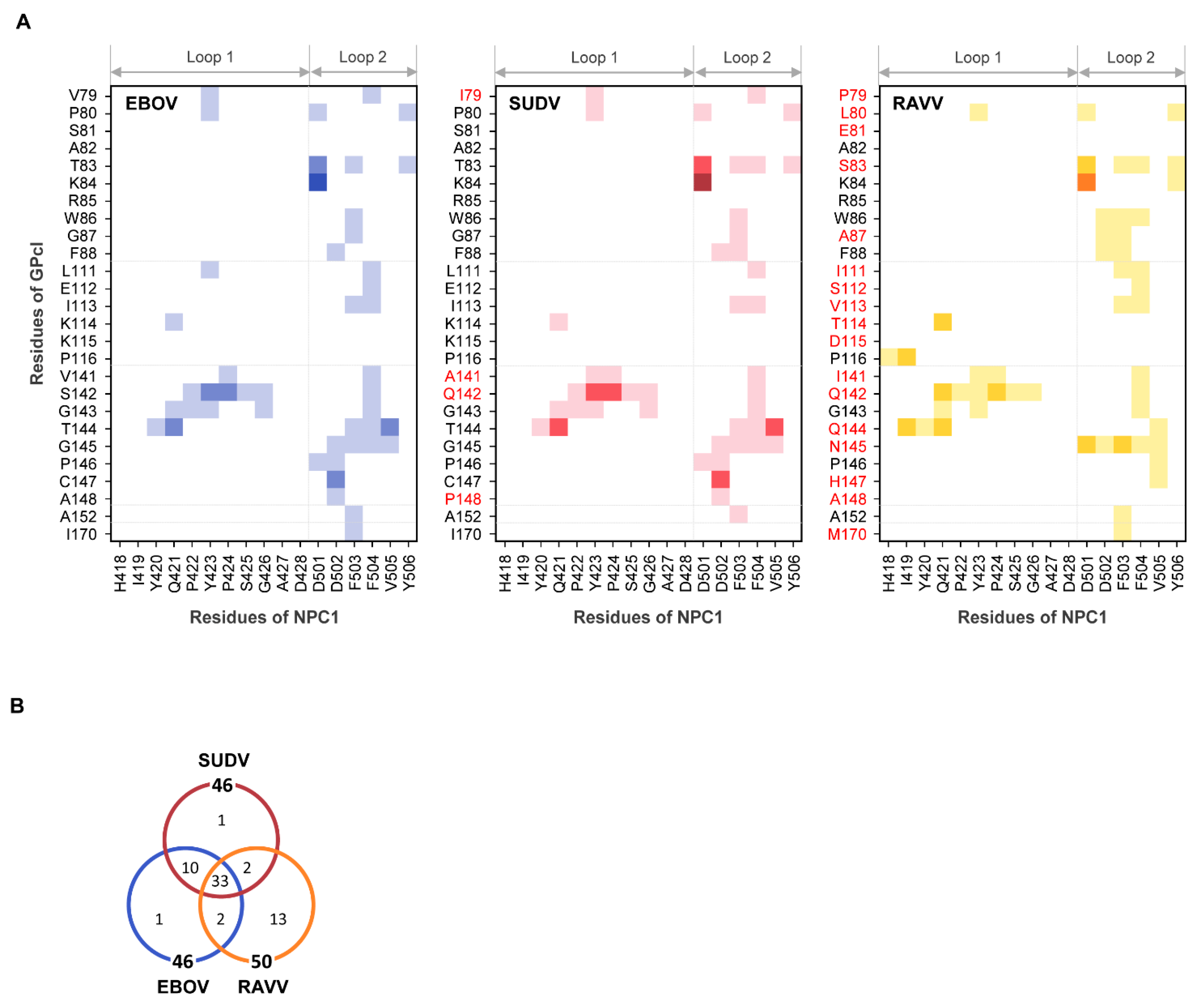 Viruses 13 00913 g004