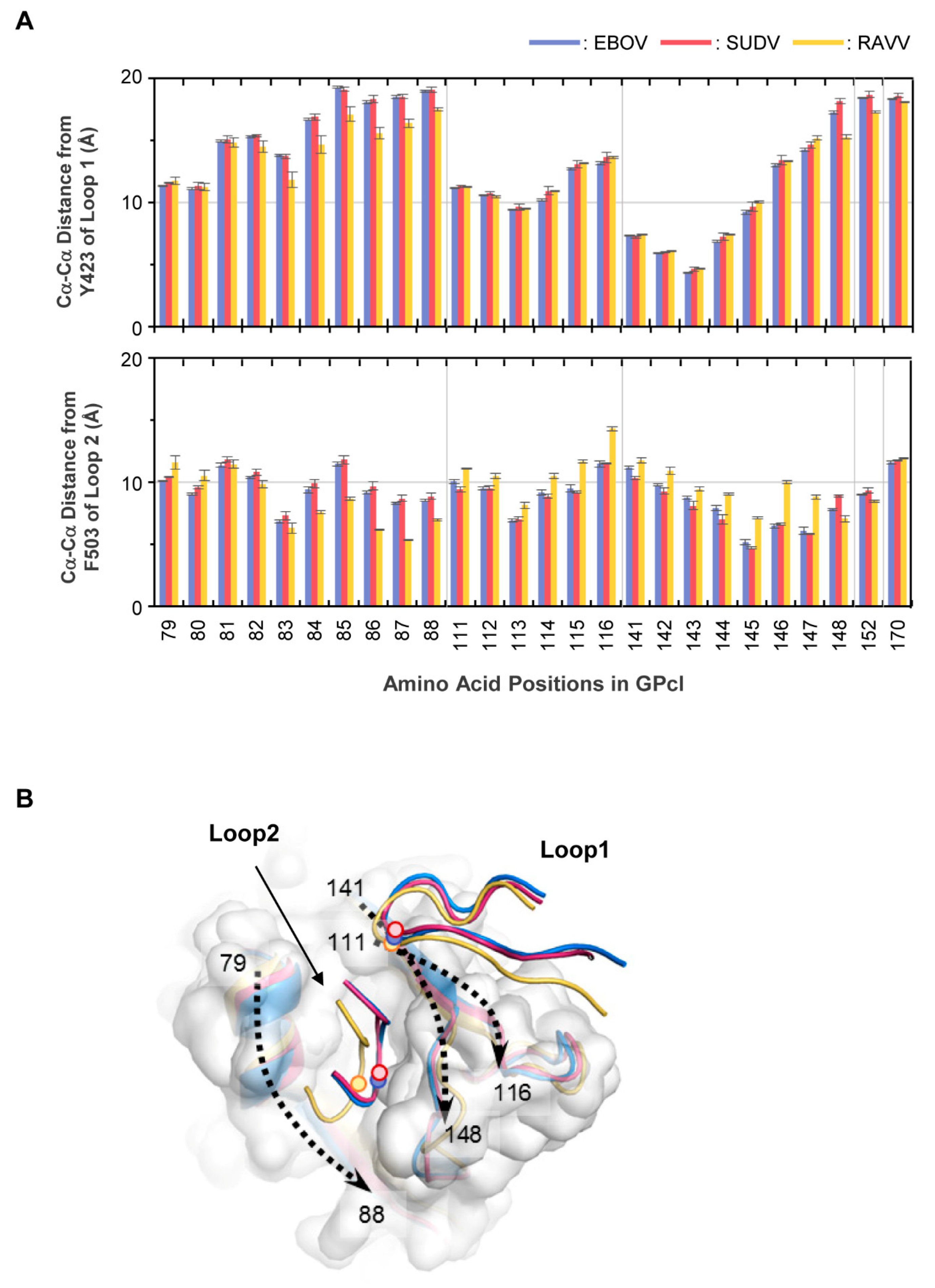 Viruses 13 00913 g005