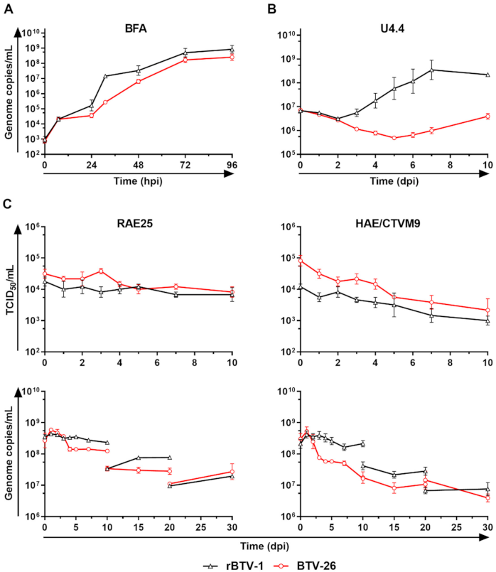 Viruses 13 00919 g001