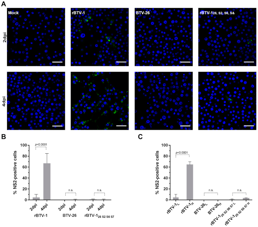 Viruses 13 00919 g005