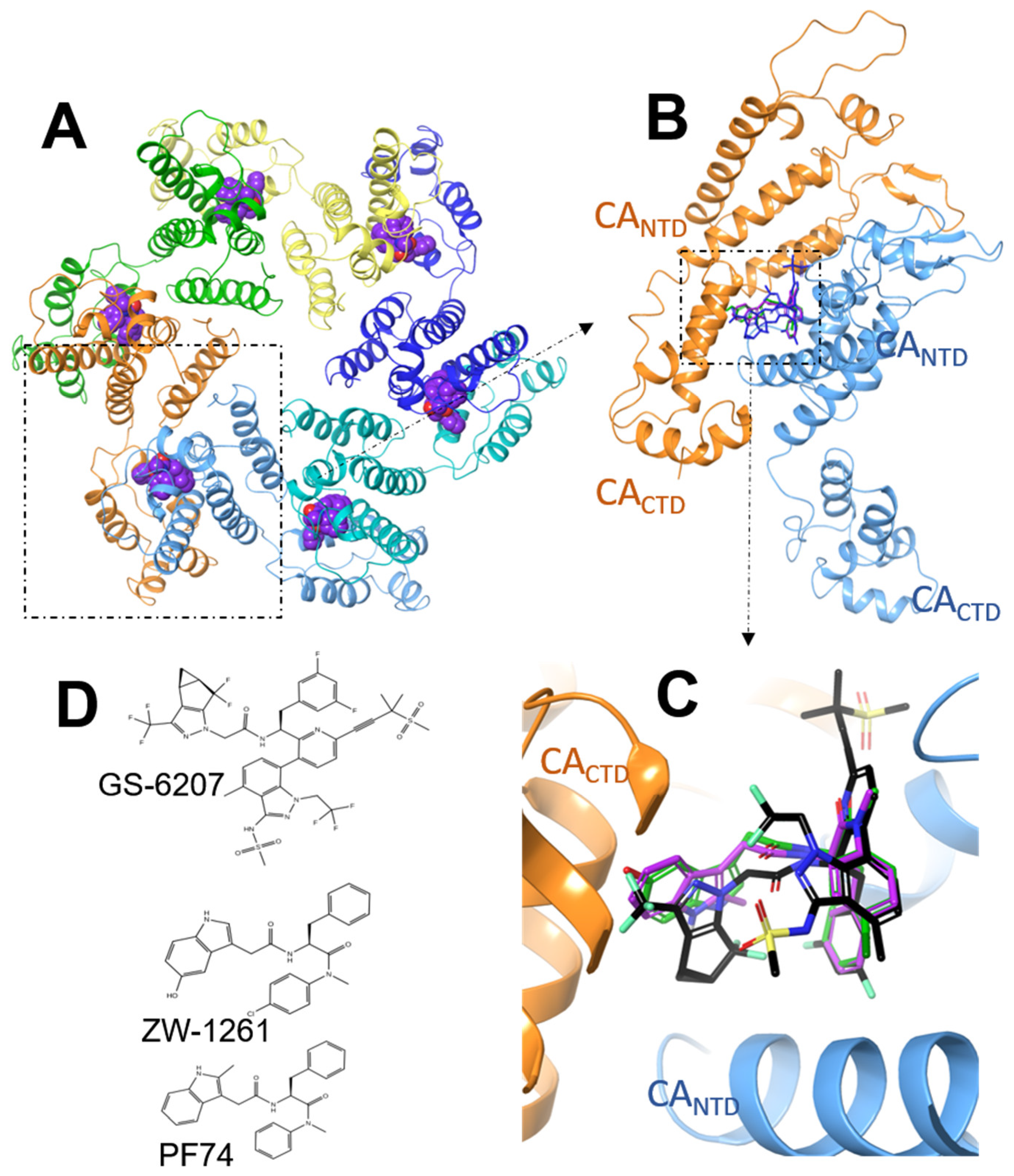 Viruses 13 00920 g001