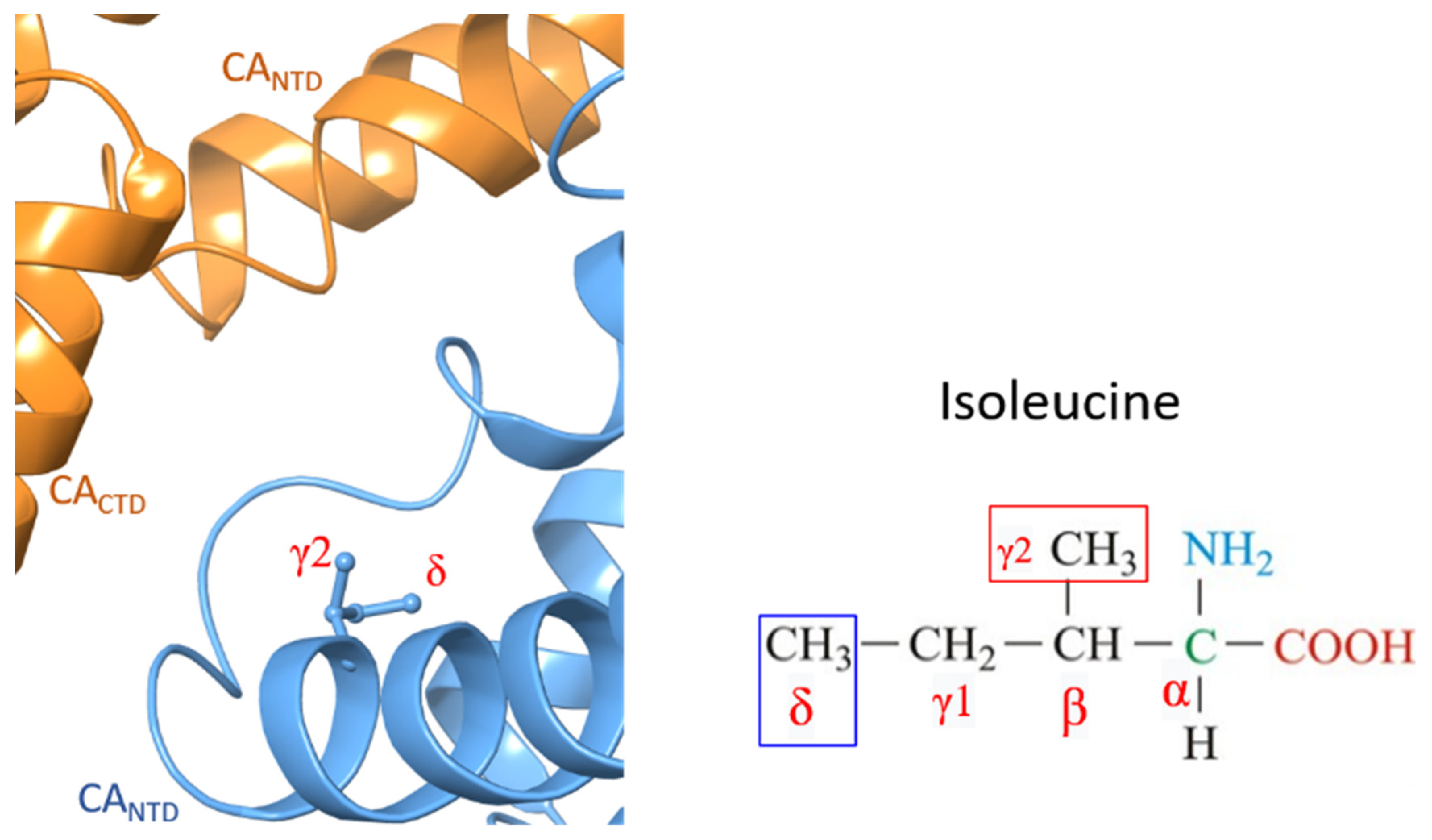 Viruses 13 00920 g003