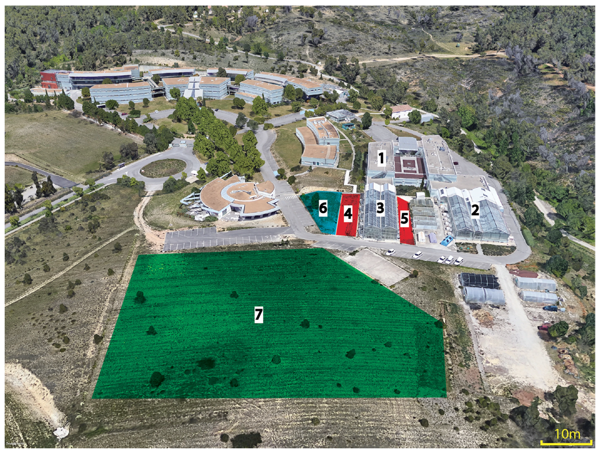 Viruses 13 00922 g001